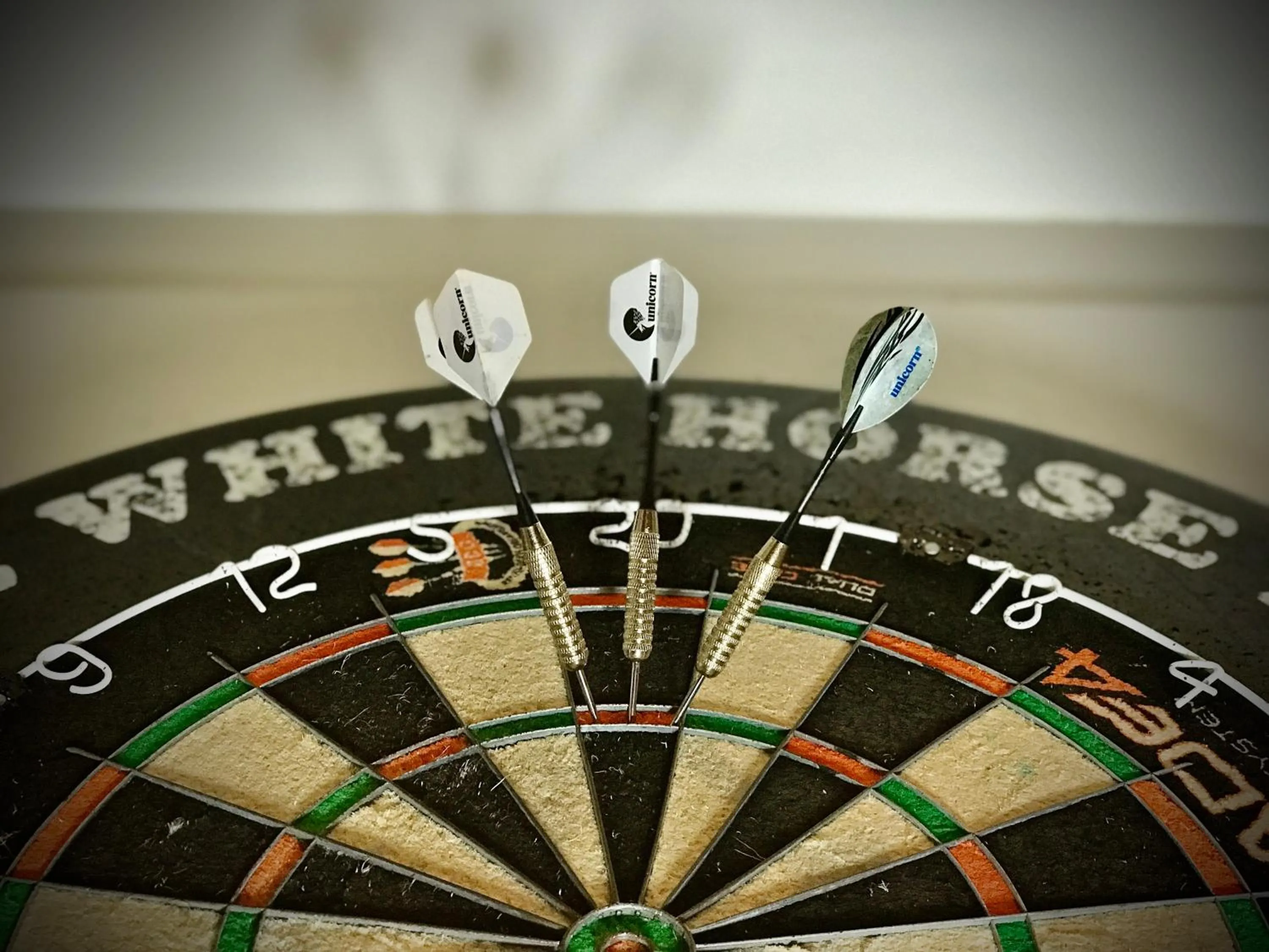 Activities in The White Horse Inn, Clun