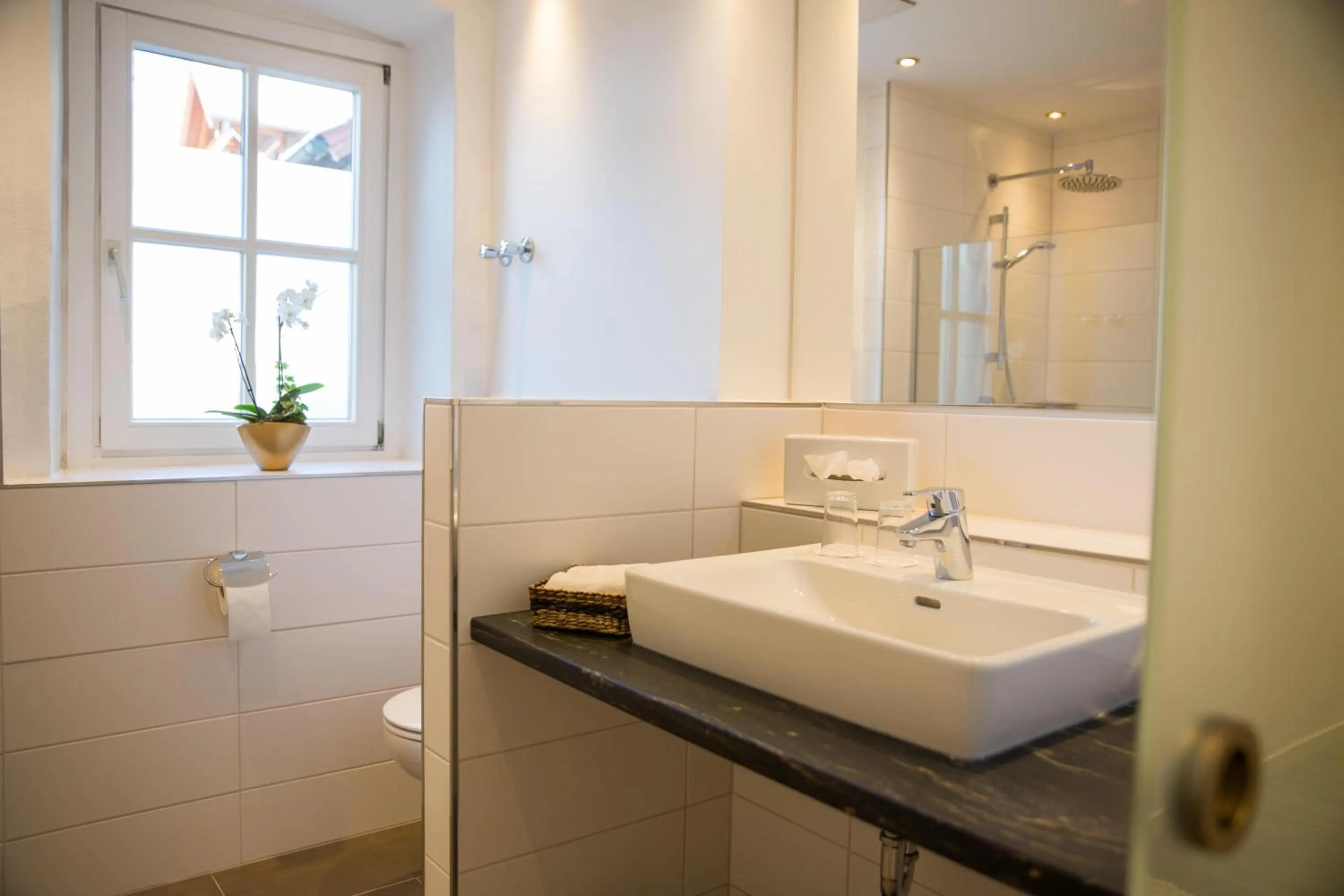 Toilet in Hotel Antoniushof