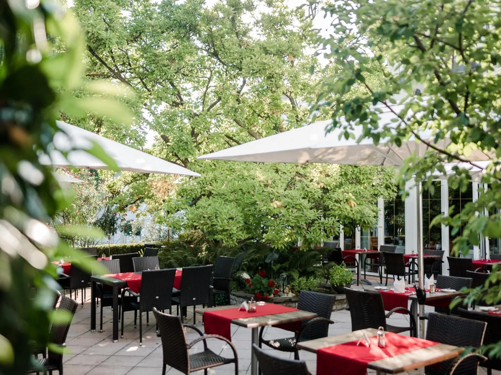 Balcony/Terrace in Hotel Antoniushof