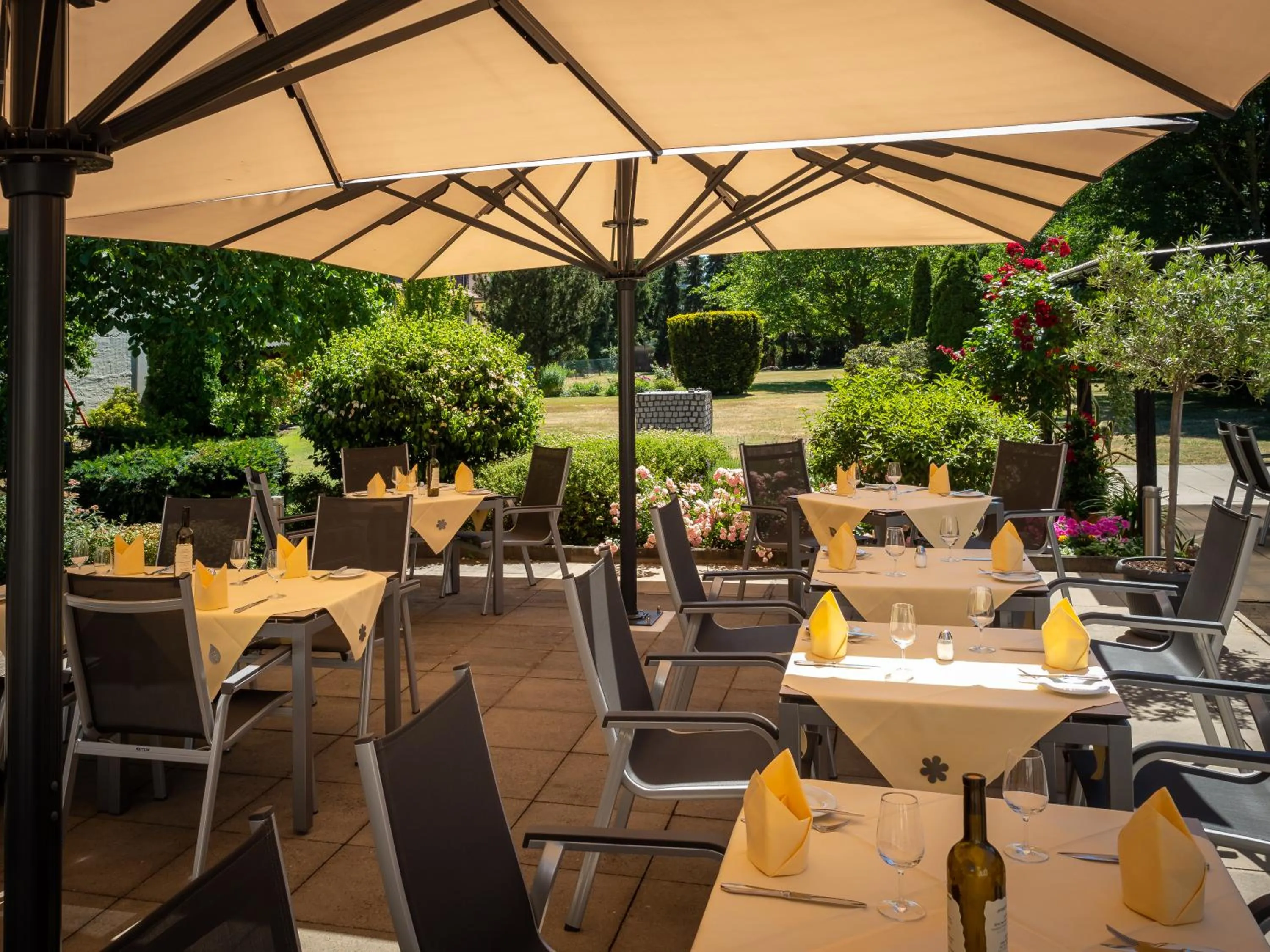 Balcony/Terrace in Hotel Schaper