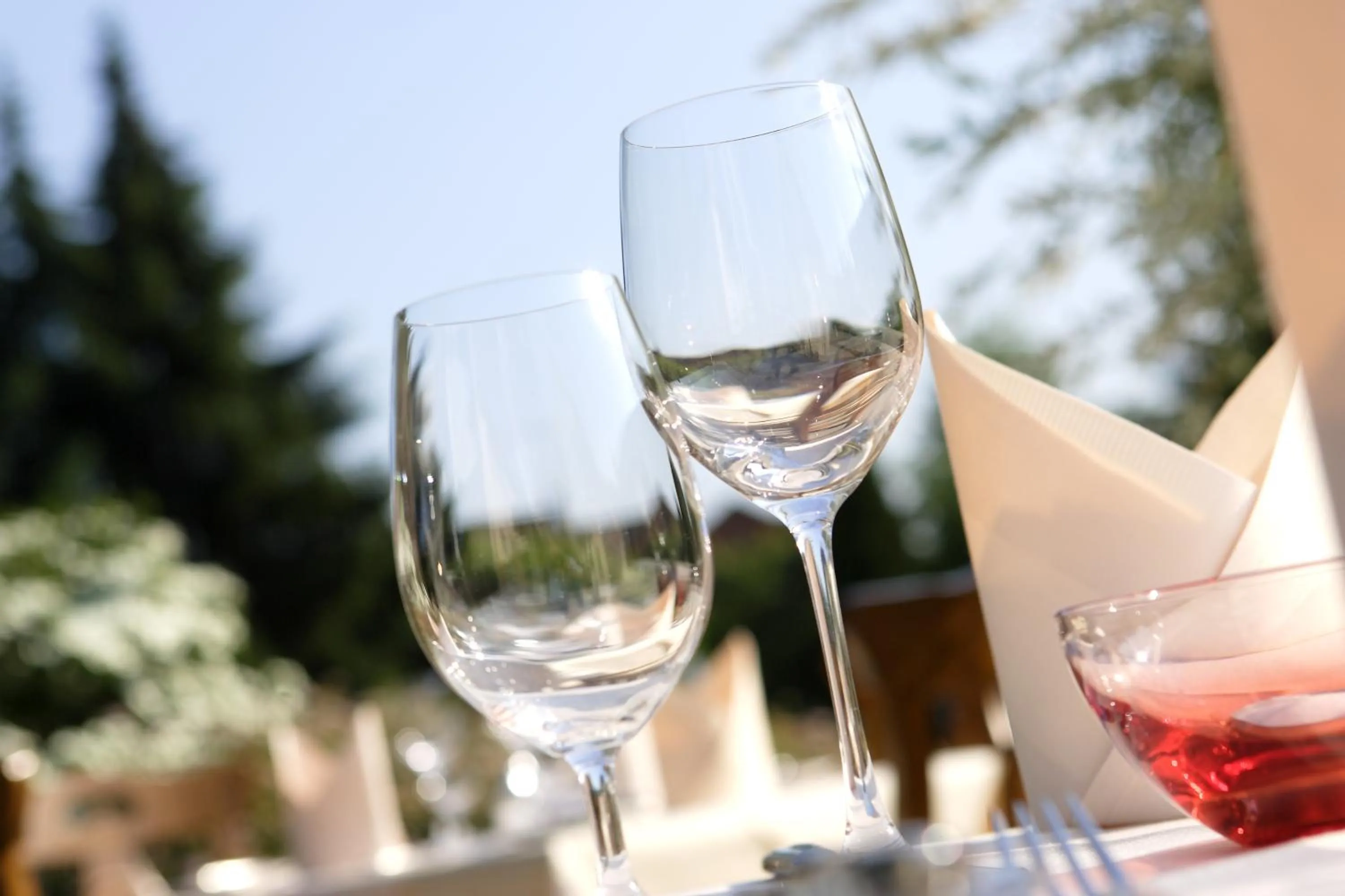 Restaurant/places to eat in Hotel Schaper