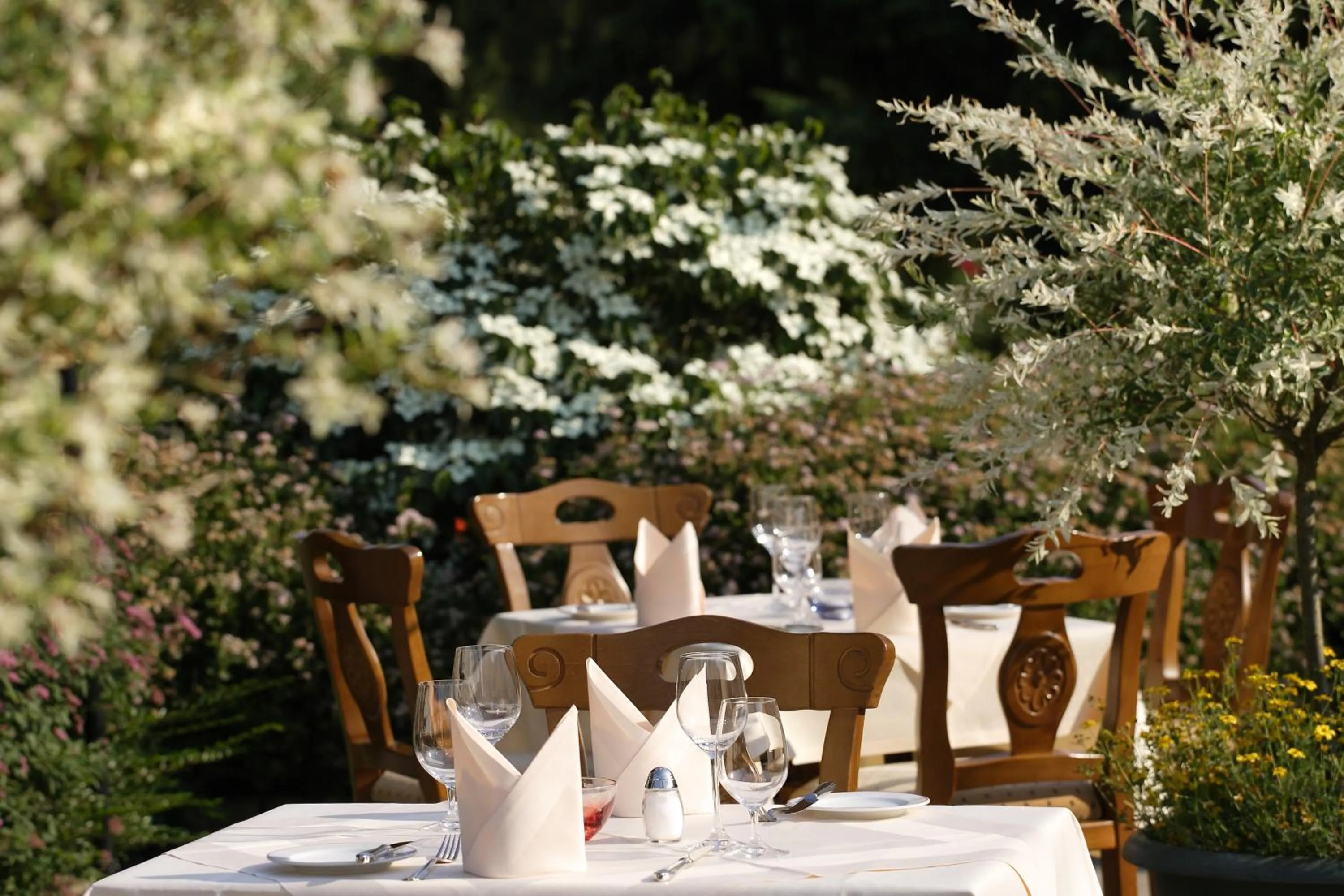 Restaurant/places to eat in Hotel Schaper