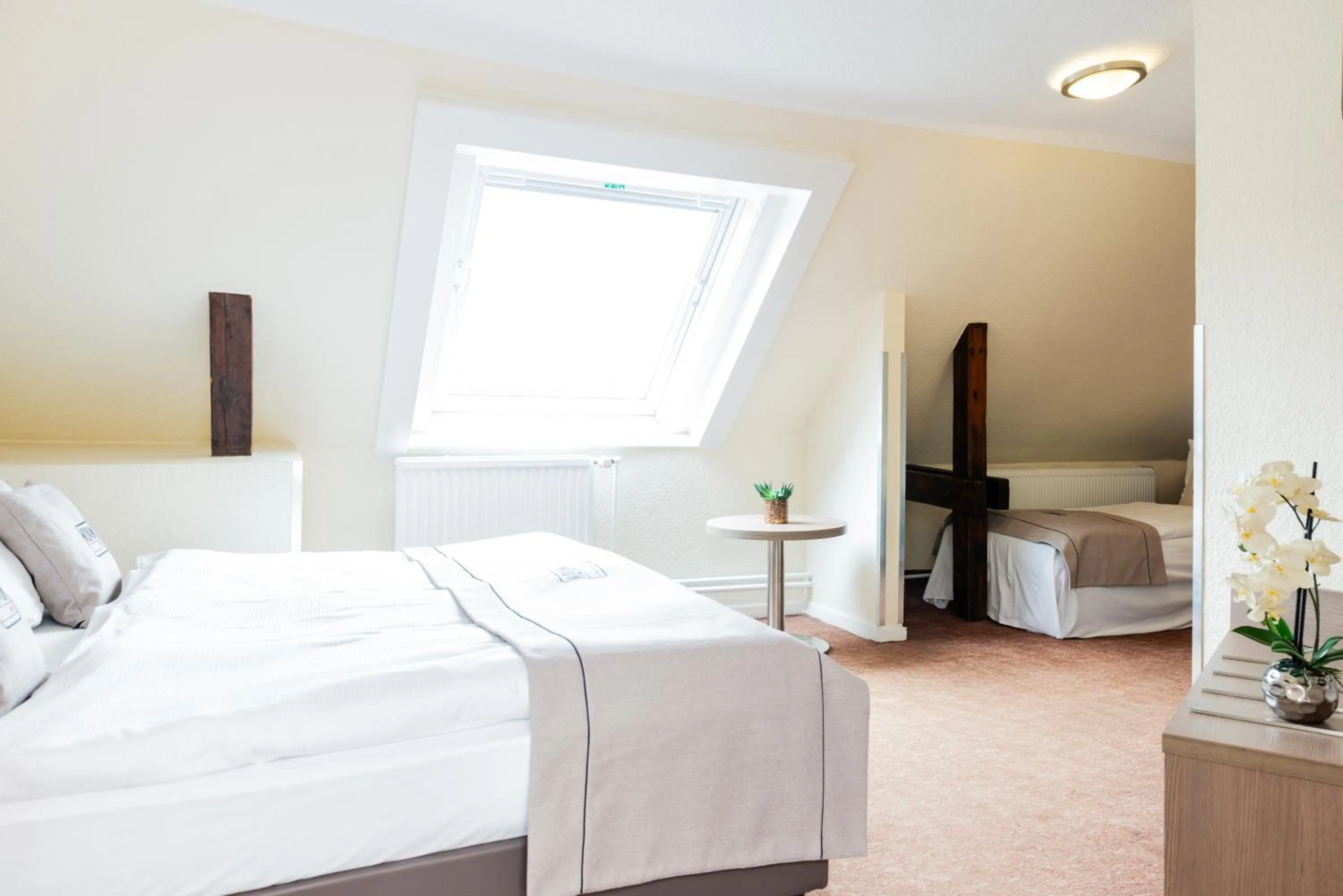 Photo of the whole room in Hotel Alster