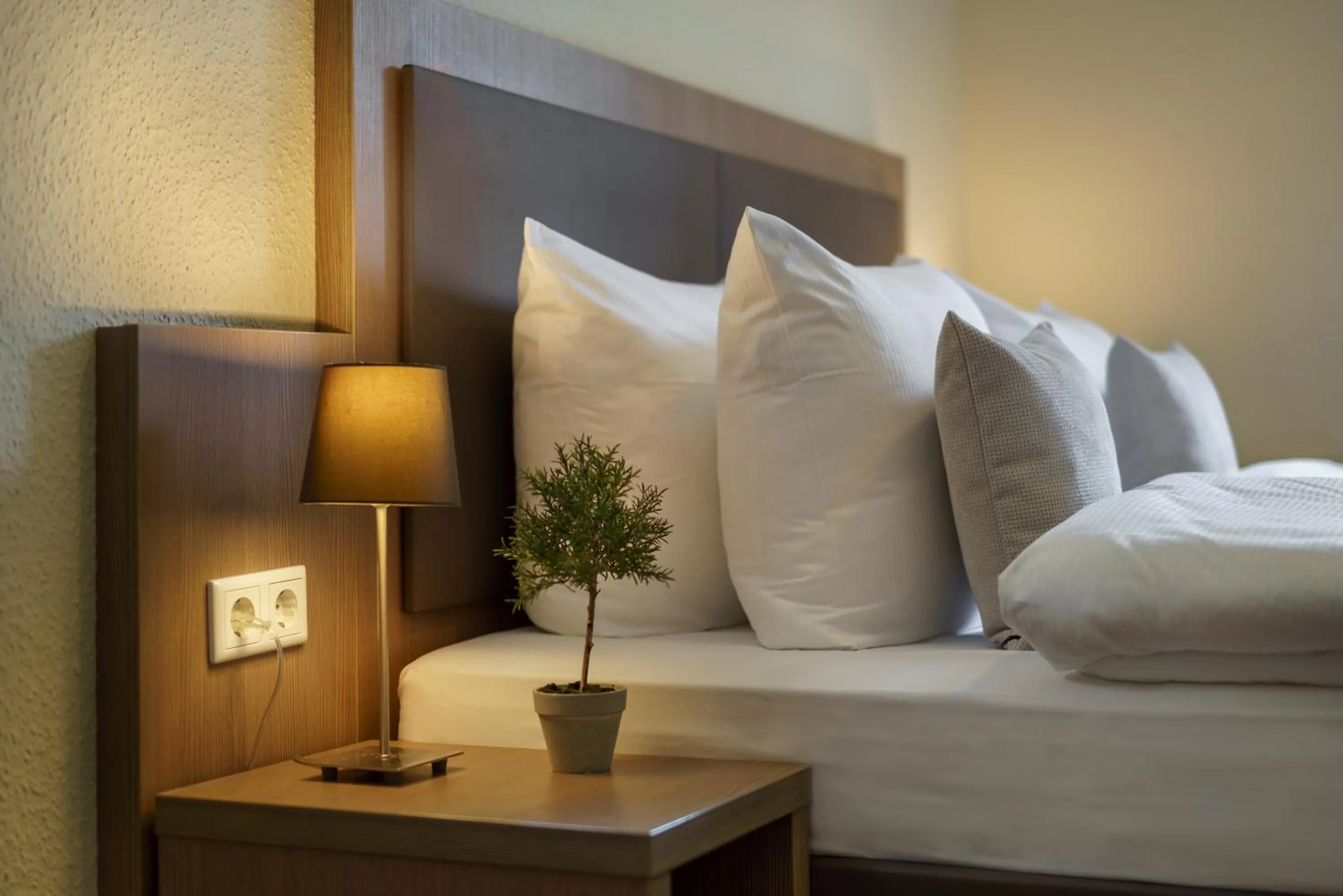 Photo of the whole room in Hotel Alster