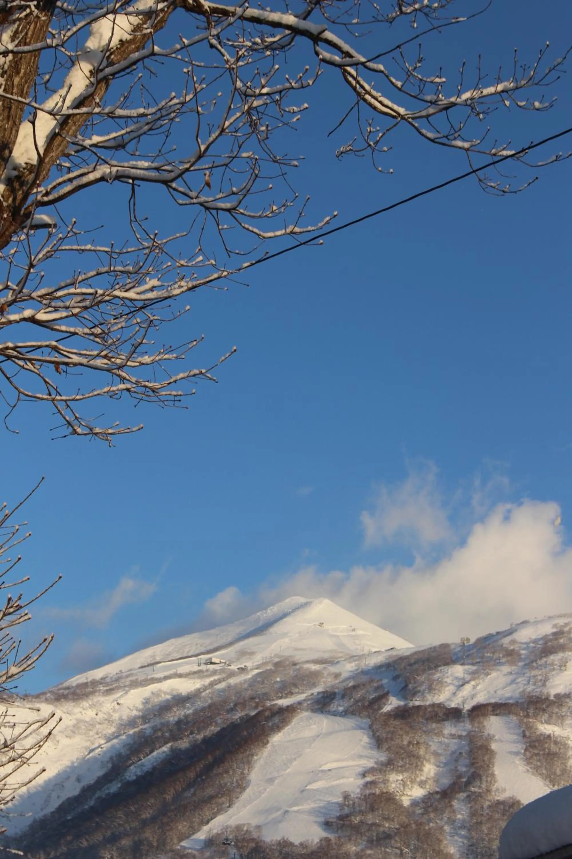 Niseko OAC Lodge