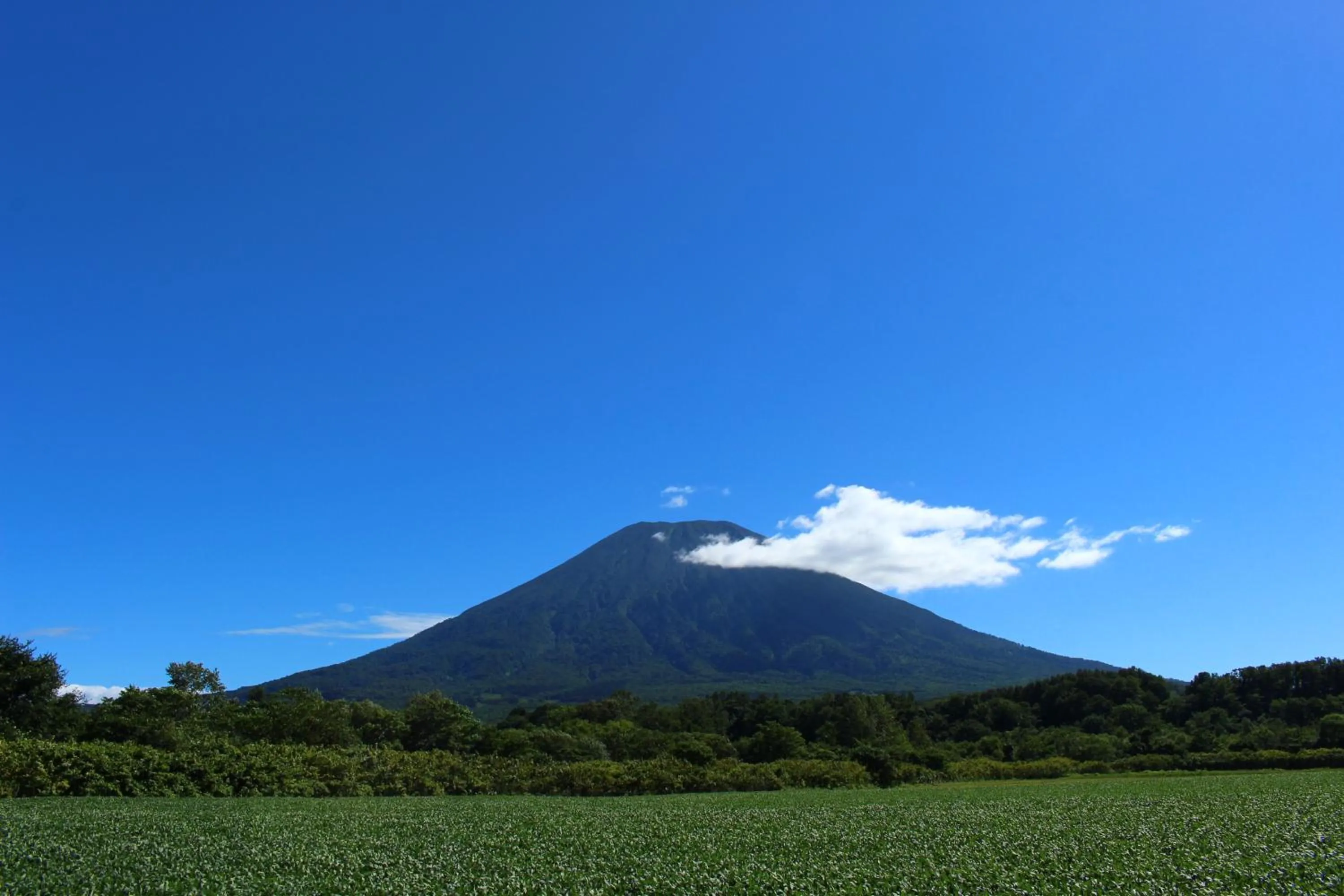 Summer in Niseko OAC Lodge