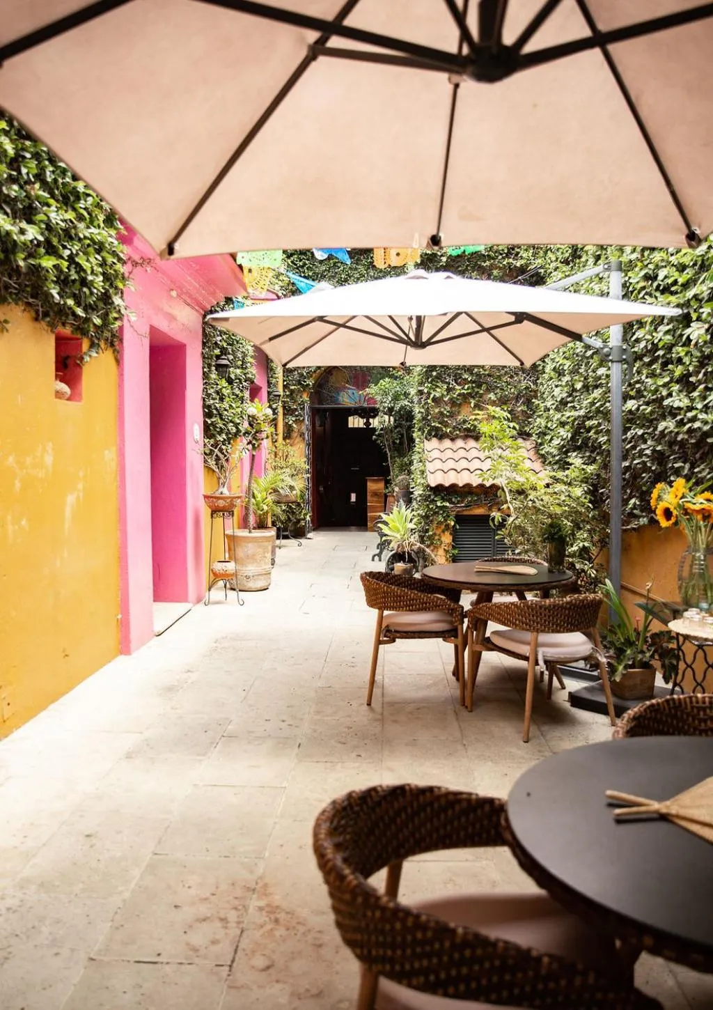 Patio in Hotel Casa Pereyra