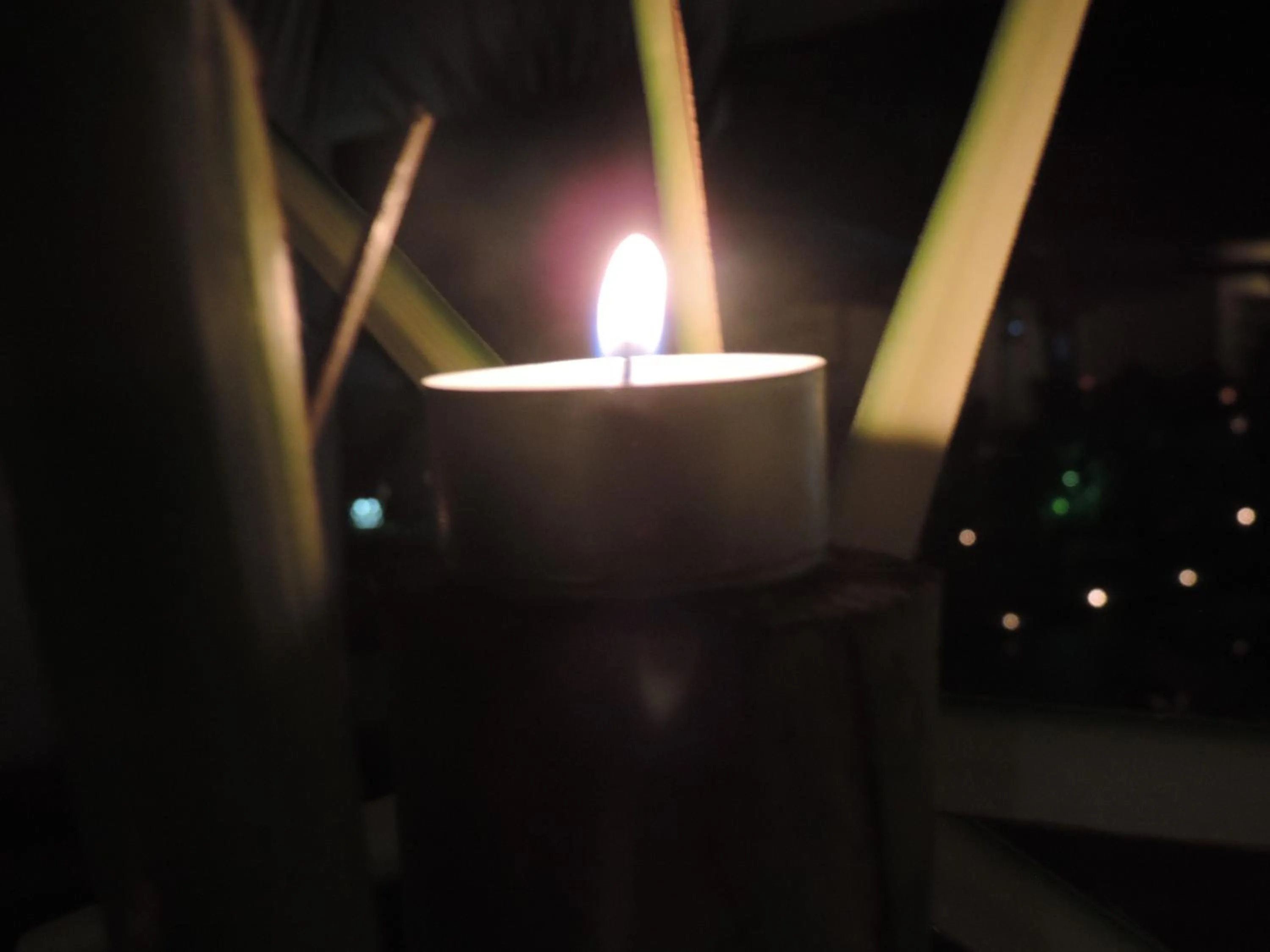 Facade/entrance in Casus Dream Hotel