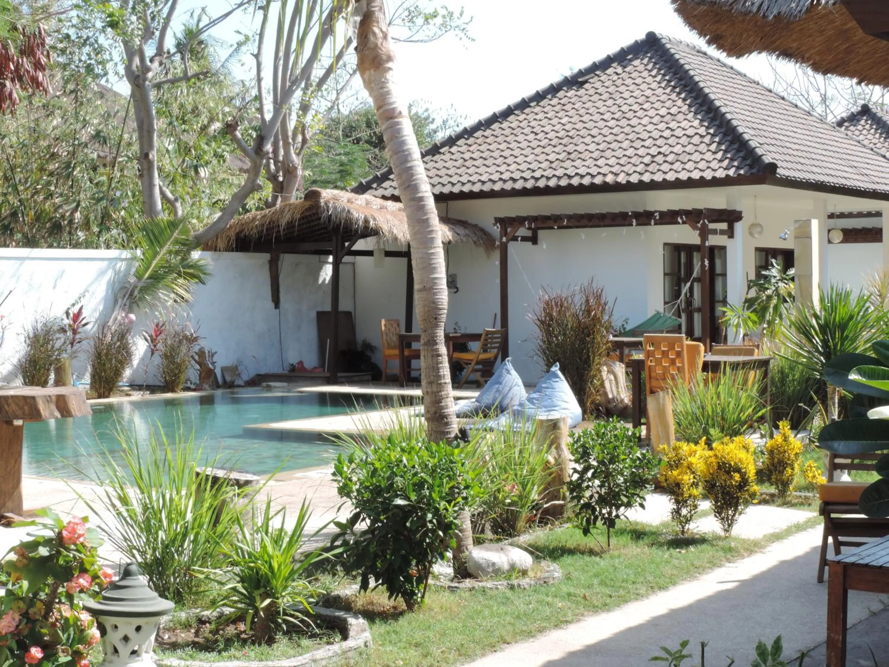 Area and facilities in Casus Dream Hotel