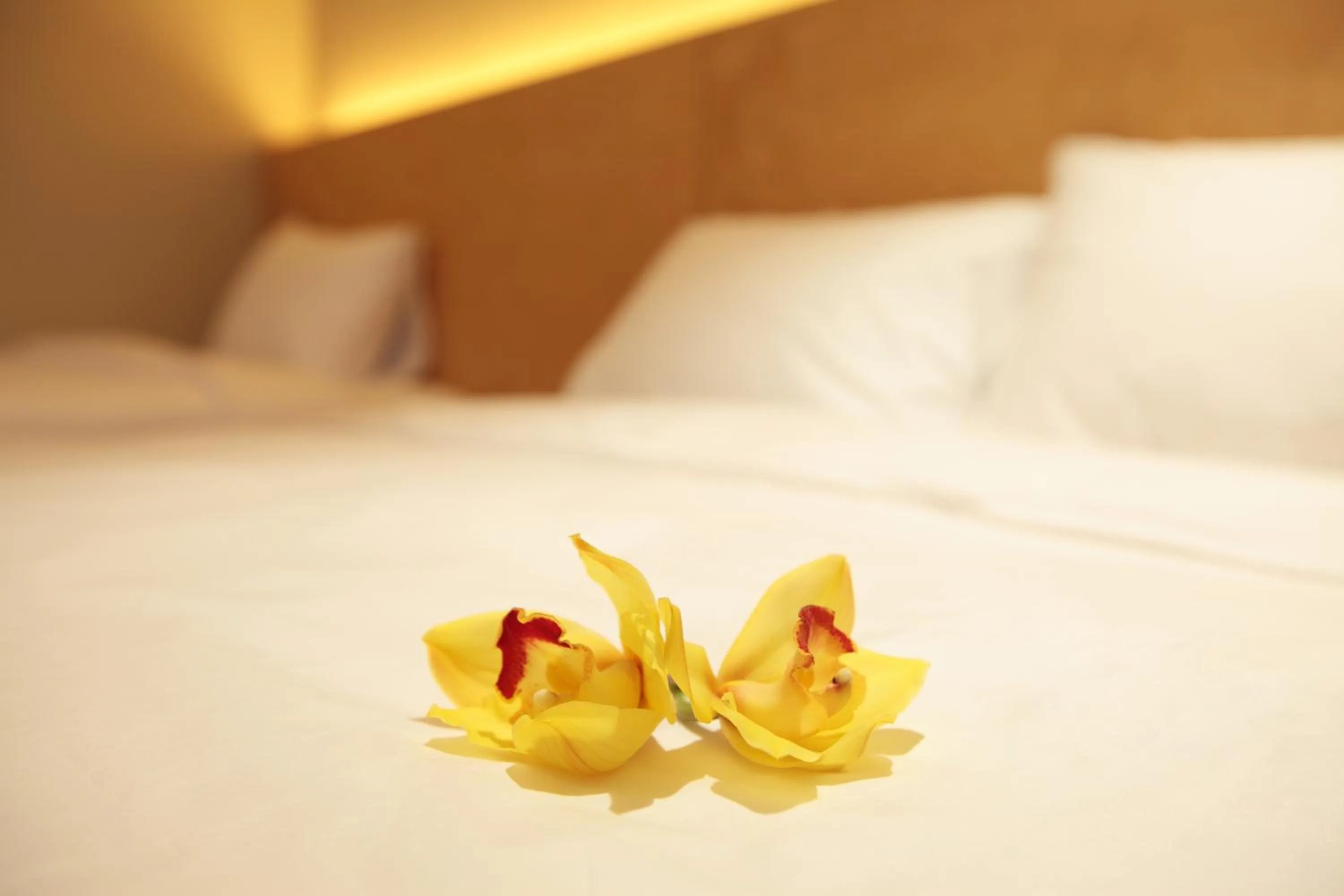 Decorative detail, Bed in Dream House