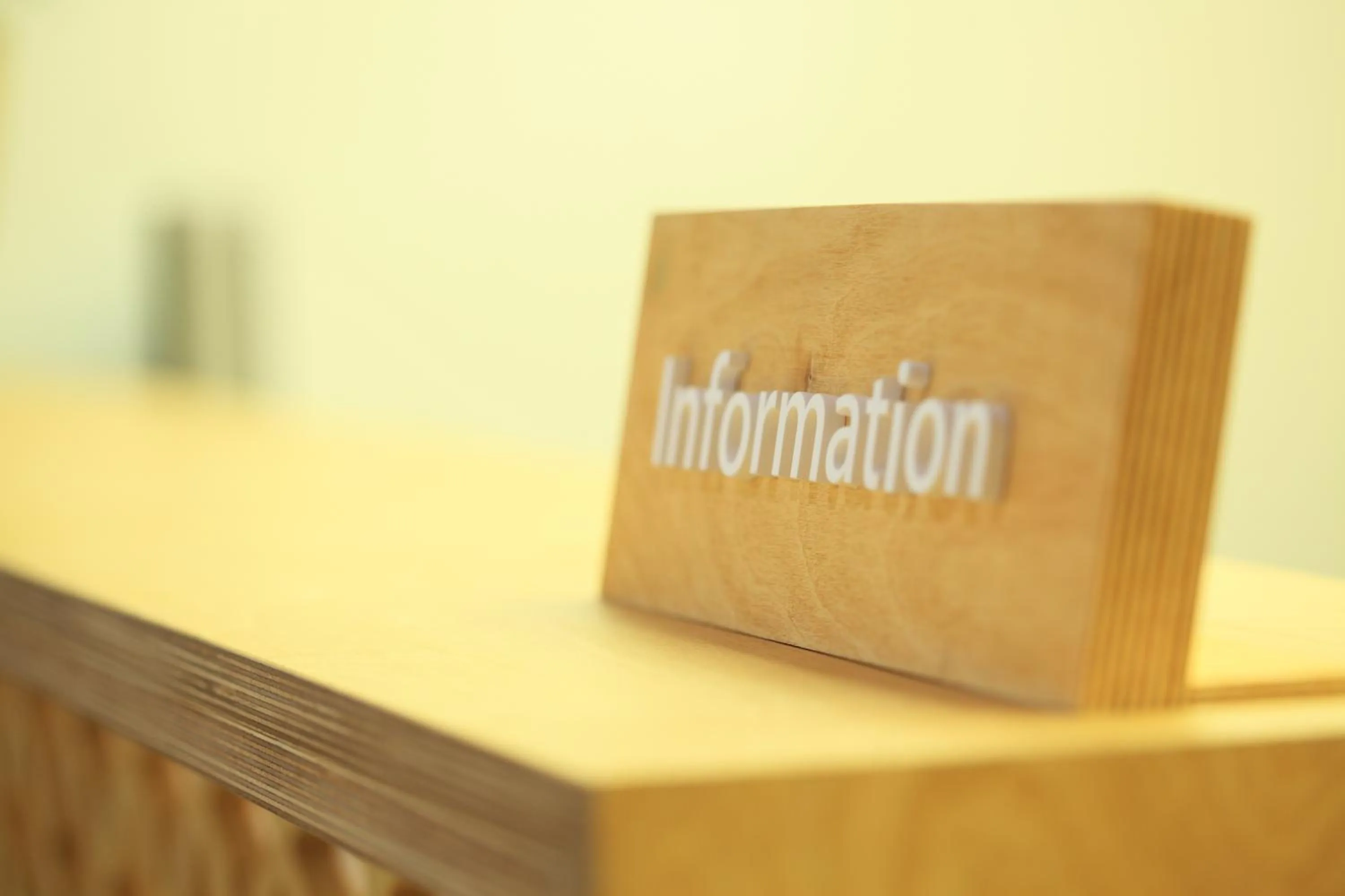 Other in Dream House