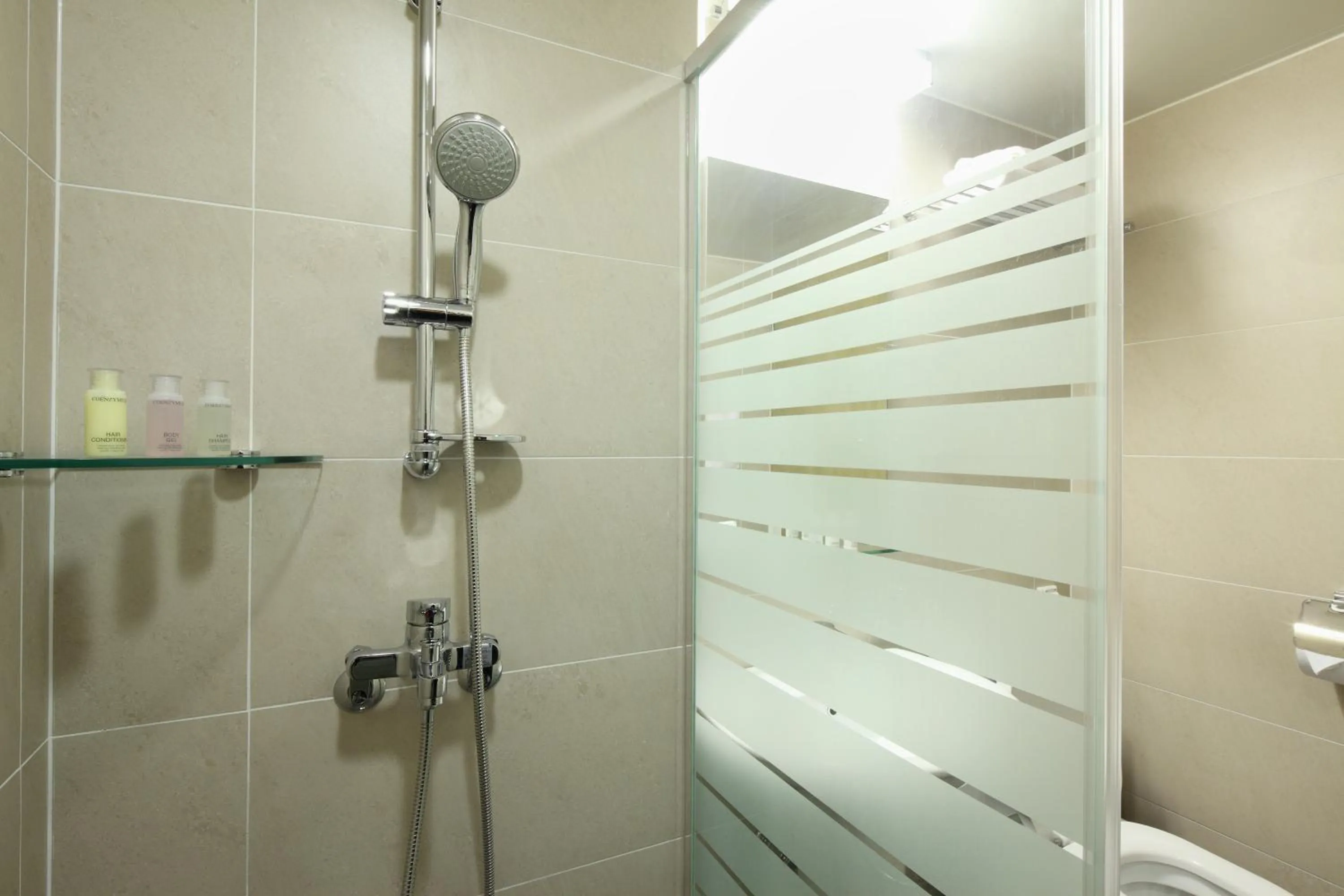 Shower in Dream House