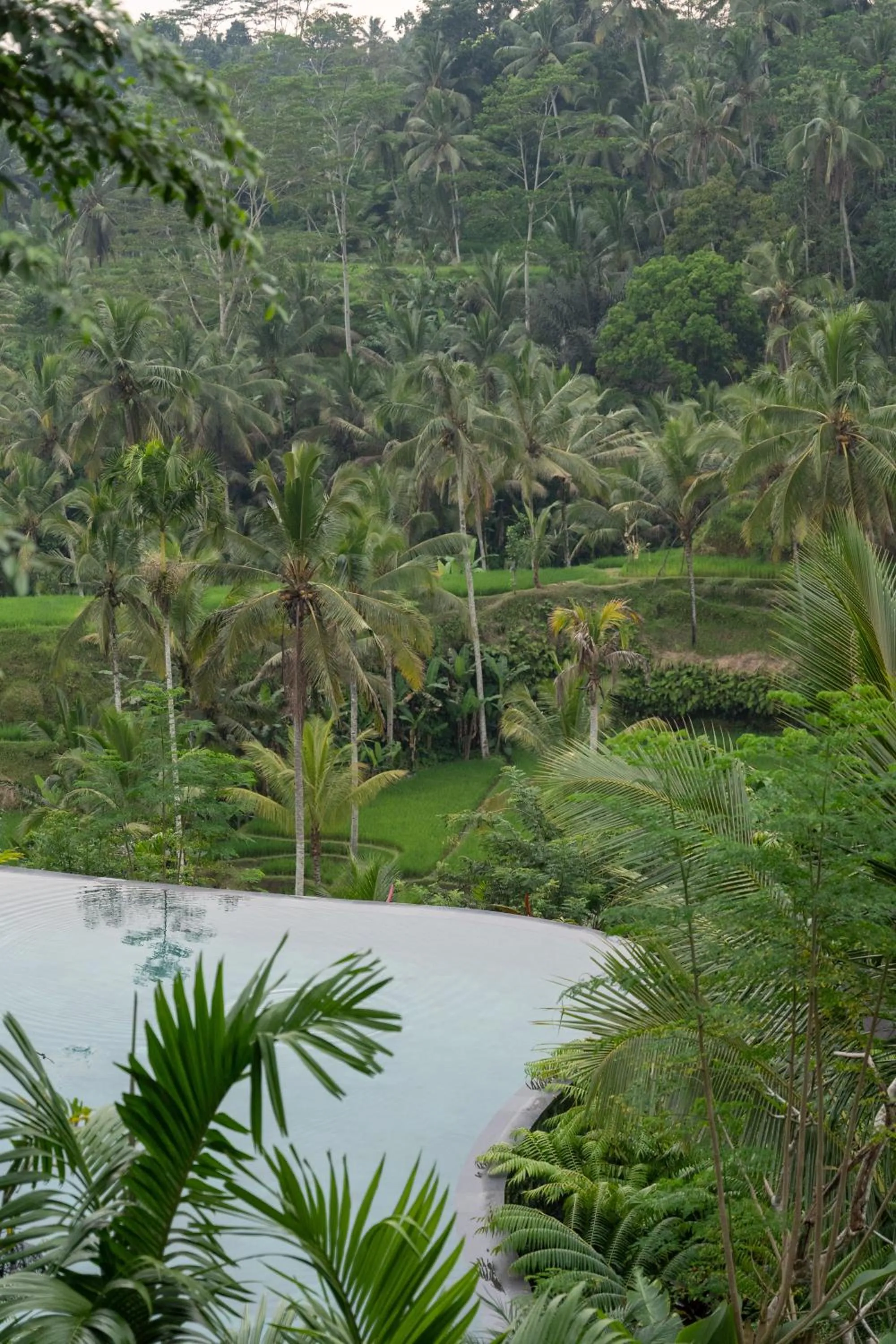 Pool view in GK Bali Resort
