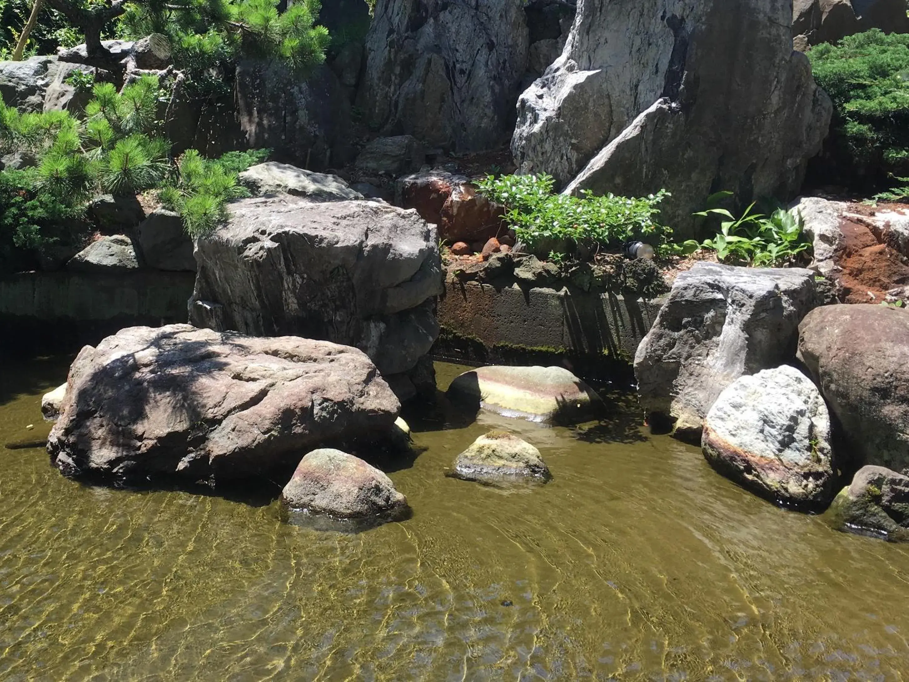 Garden view in Kuretake-INN Omaezaki Garden view in Kuretake-INN Omaezaki