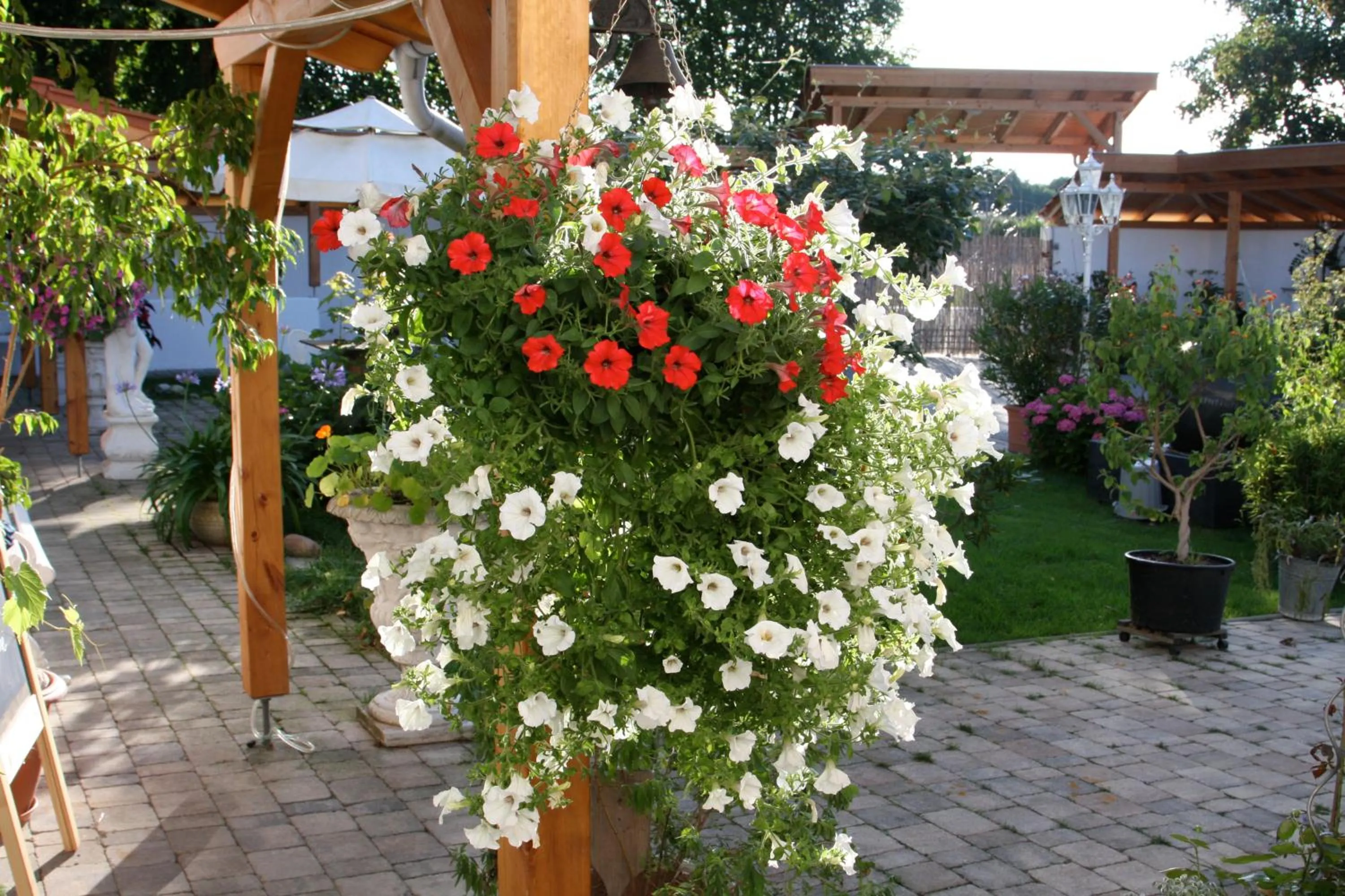 Spring in Chalet Valley