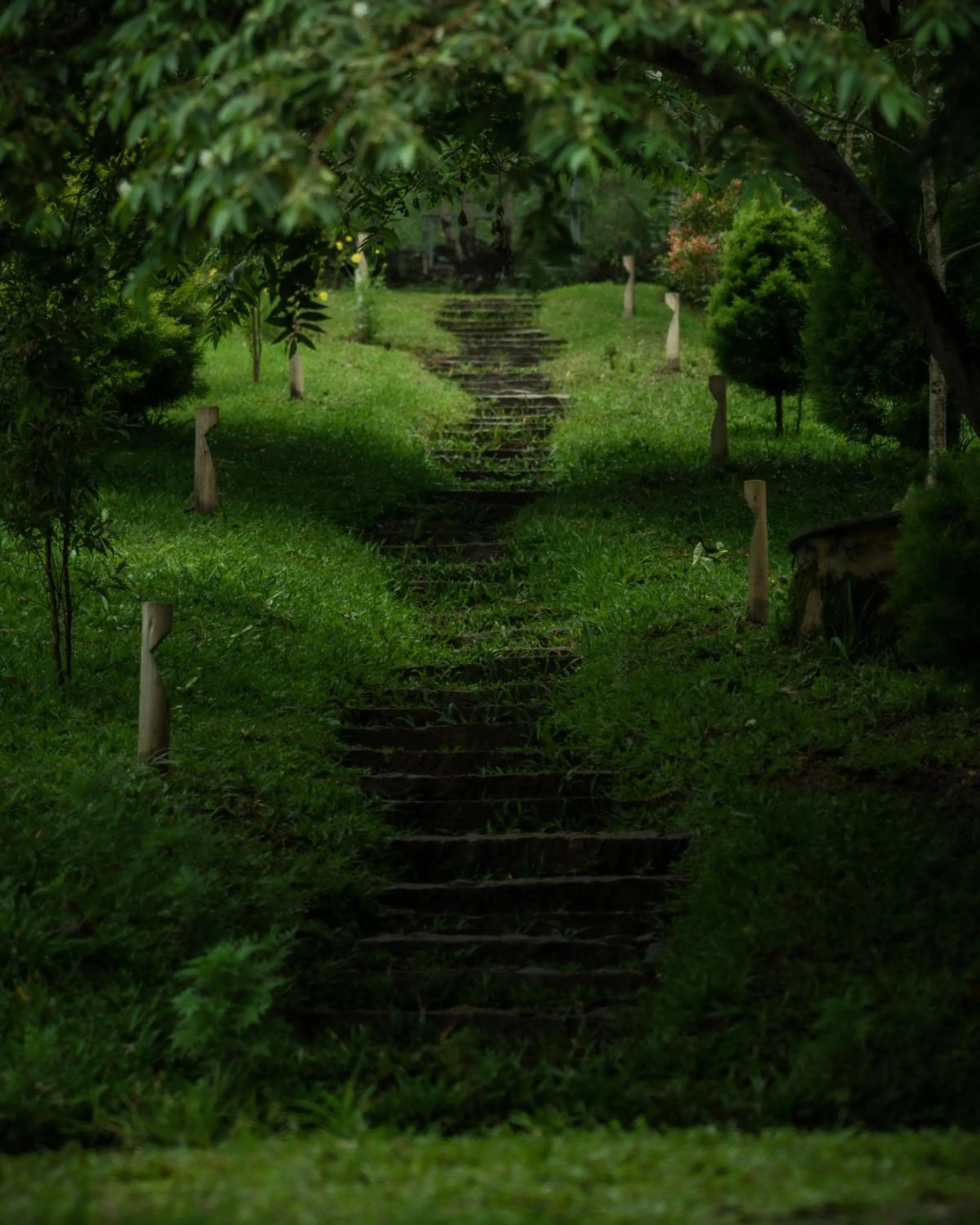 Garden in The Mudhouse Marayoor