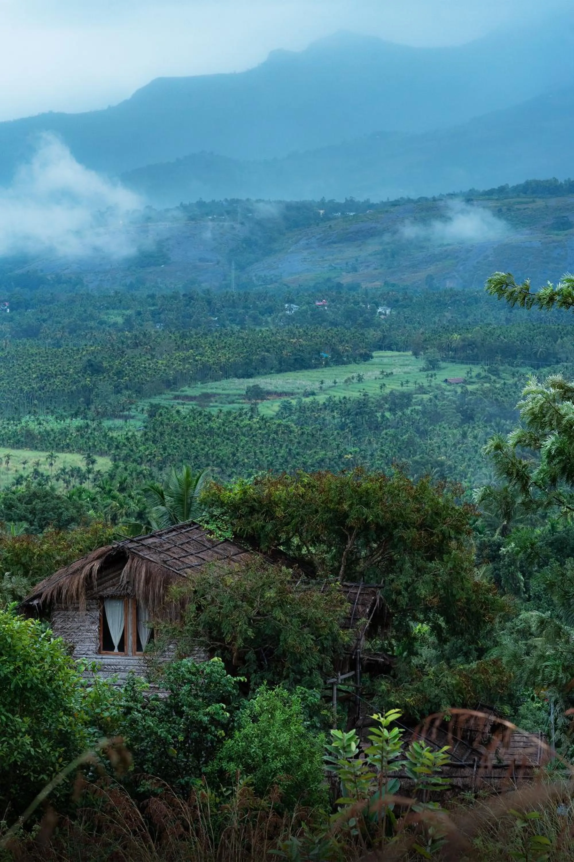 Bird's eye view in The Mudhouse Marayoor