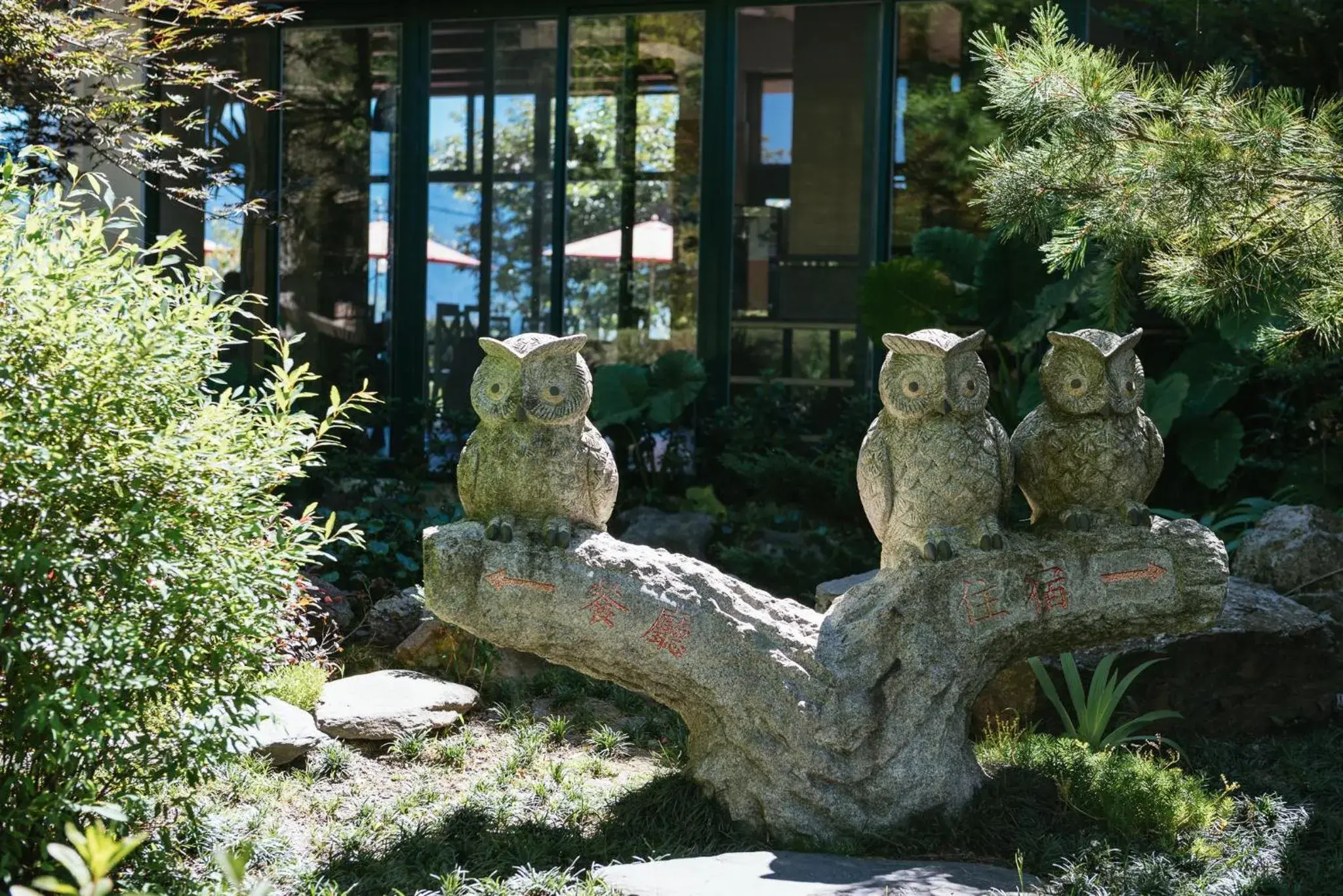 Landmark view in Yun Wu B&B Landmark view in Yun Wu B&B