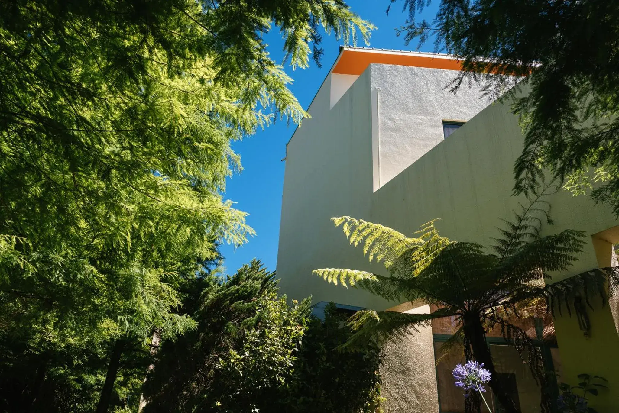 Property building in Yun Wu B&B Property building in Yun Wu B&B