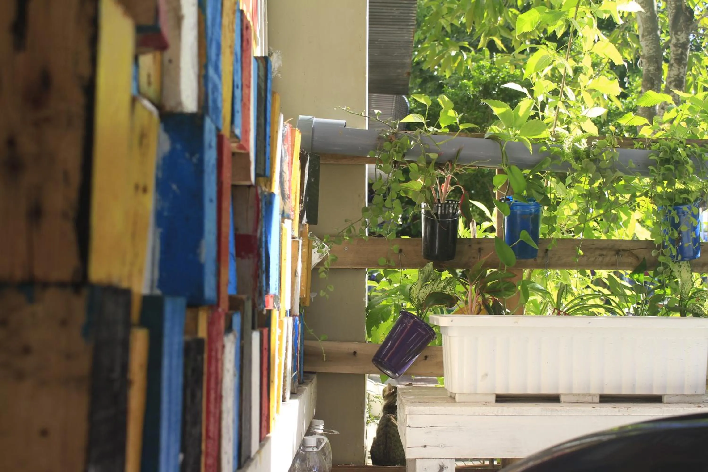 Property building in Bụi Hostel - Ferry to Rạch Giá