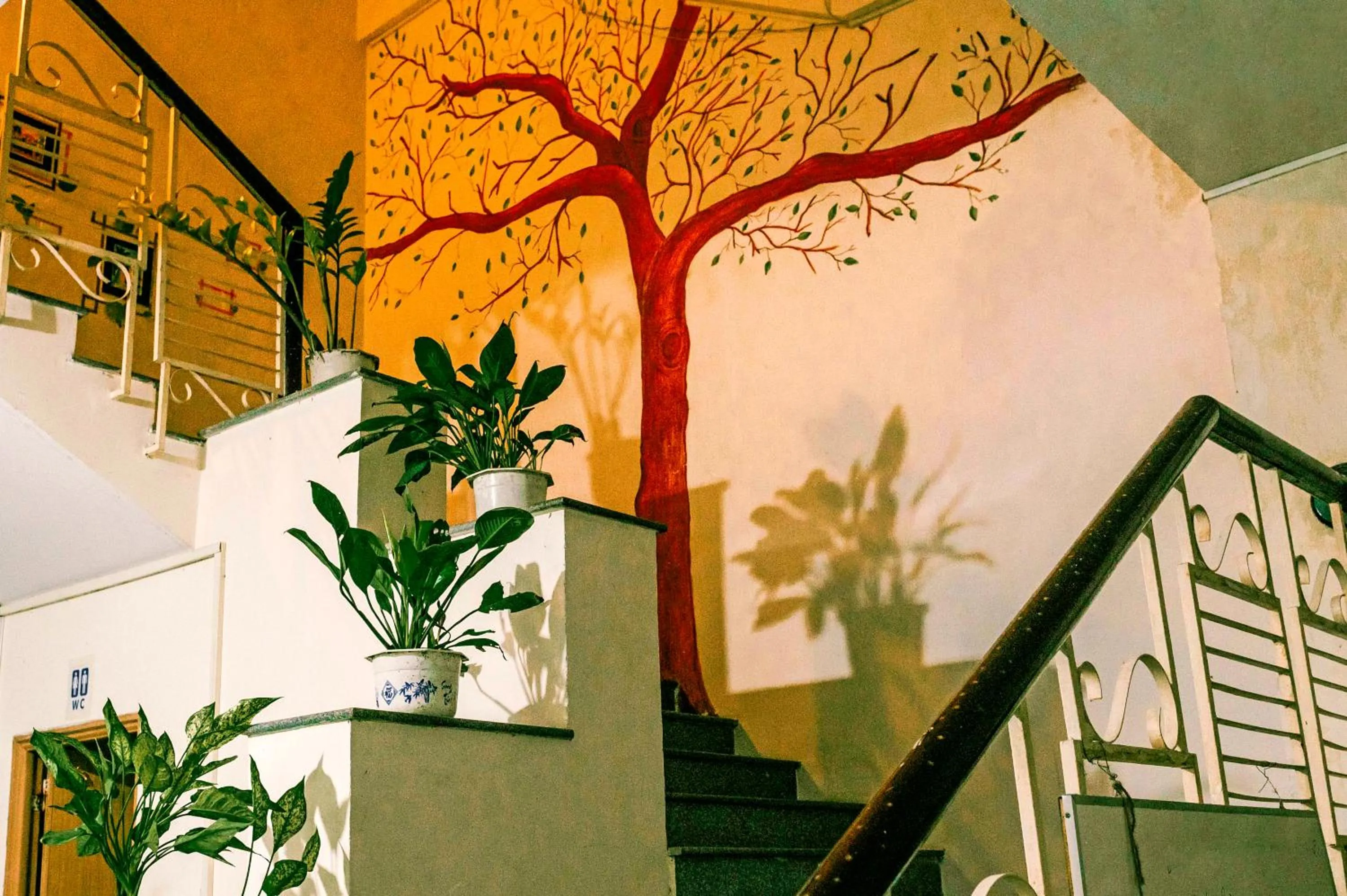 Other in Bụi Hostel - Ferry to Rạch Giá