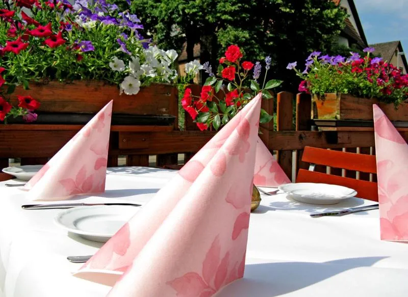 Food in Hotel Restaurant Engel
