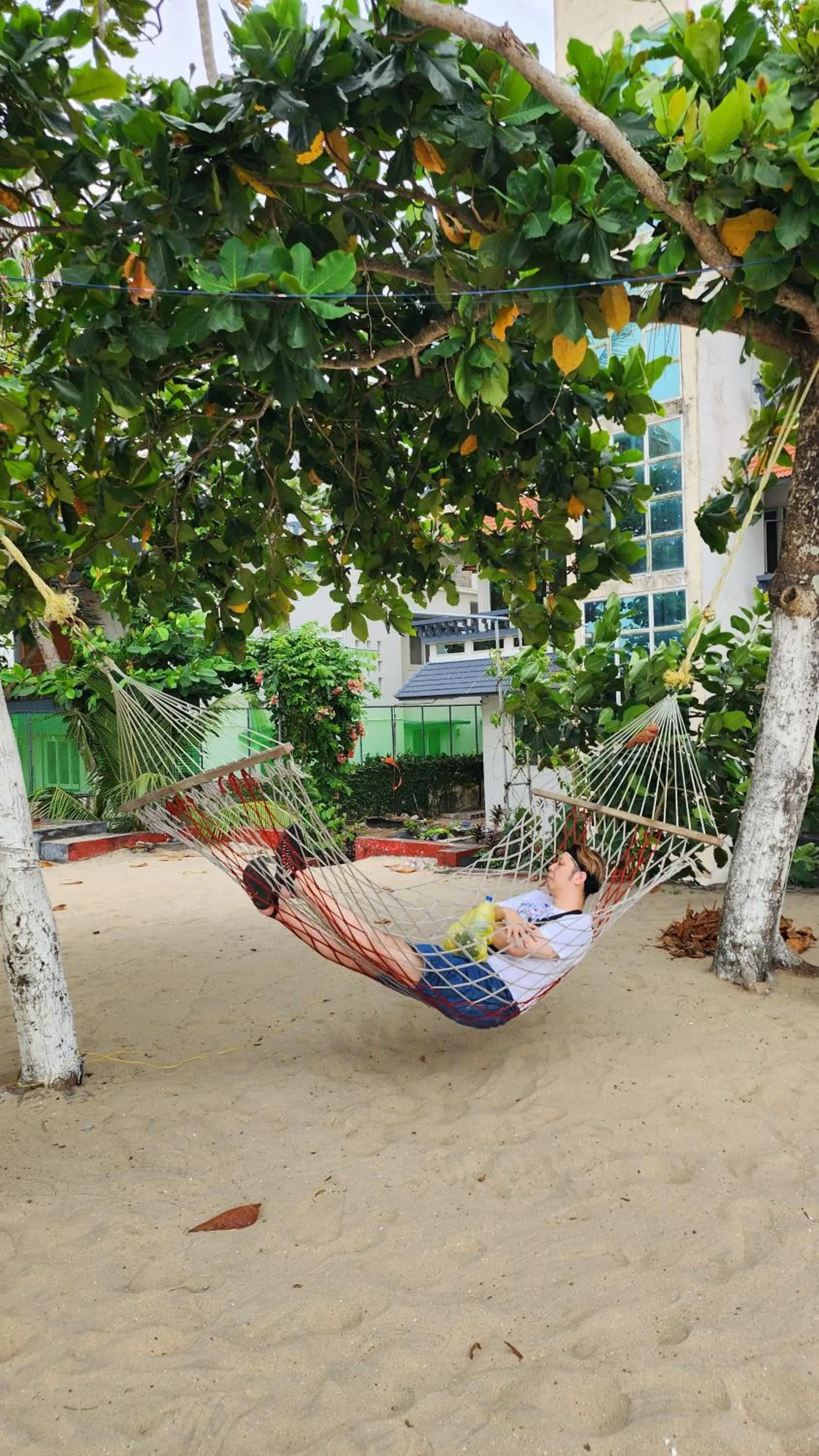 PALM Beach Resort, Alleppey