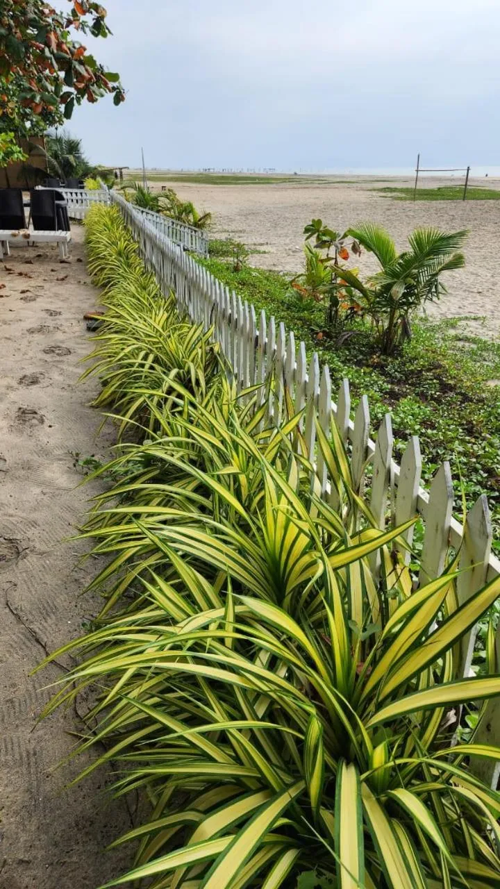 PALM Beach Resort, Alleppey