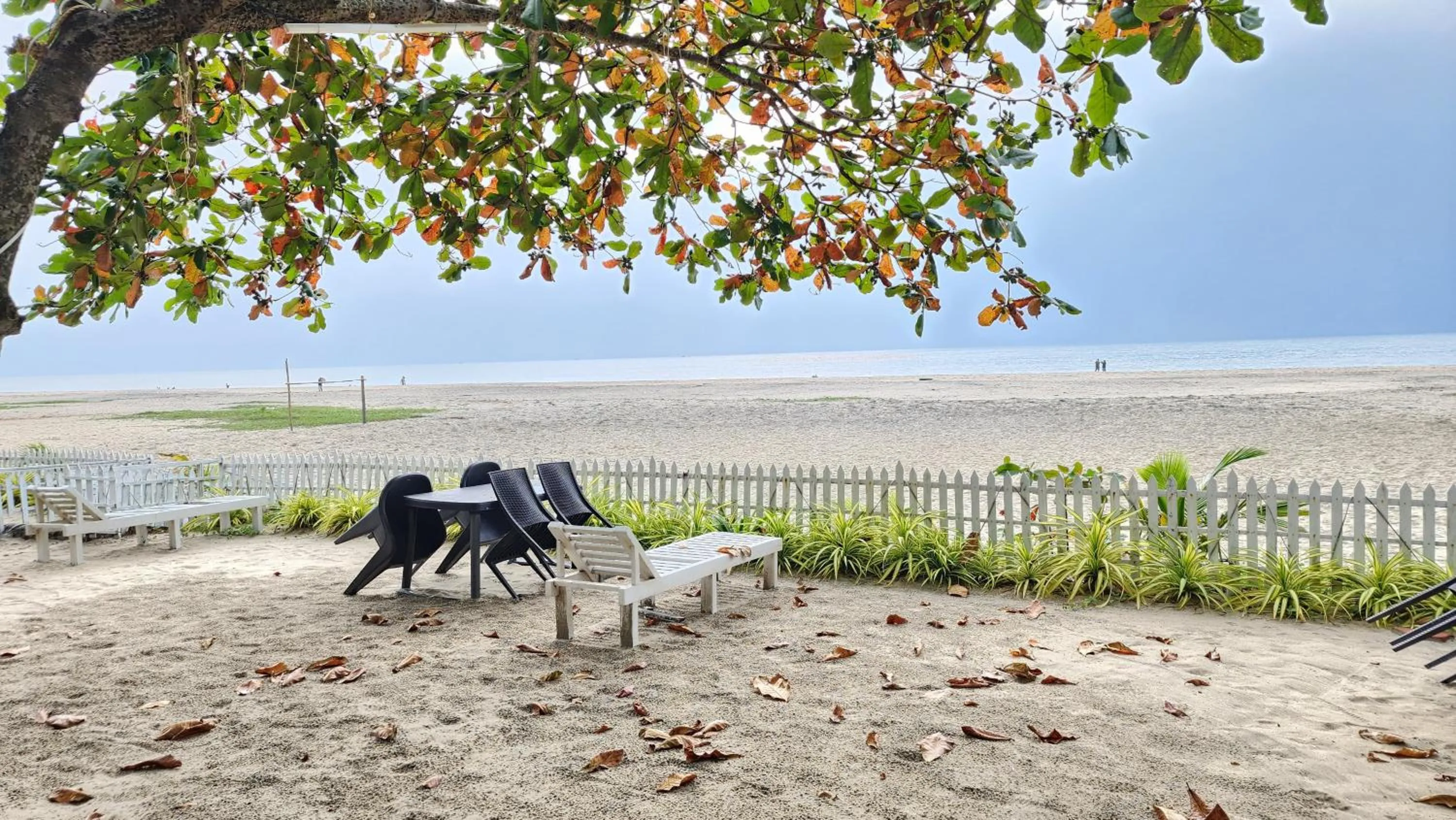 PALM Beach Resort, Alleppey