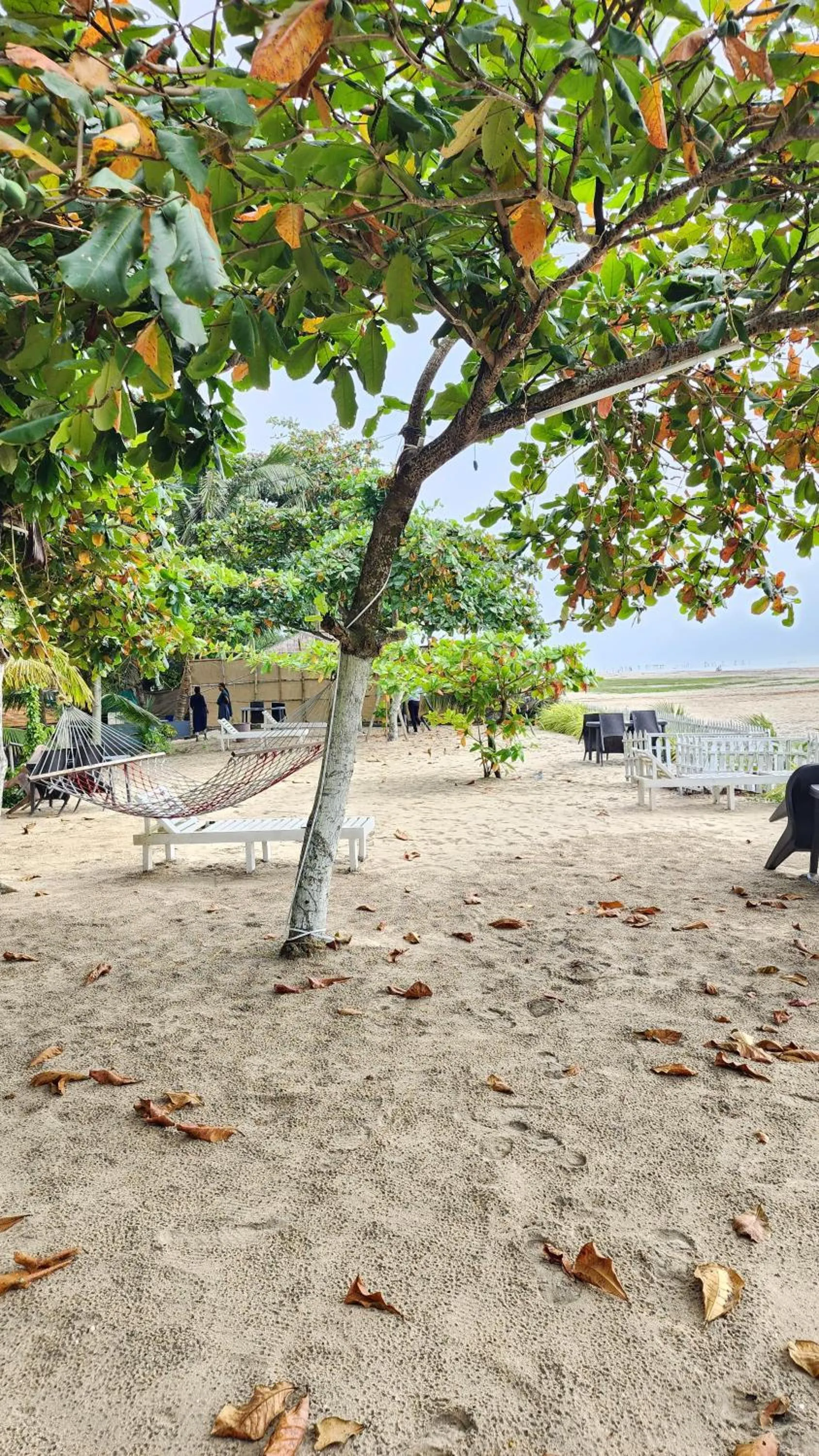 PALM Beach Resort, Alleppey