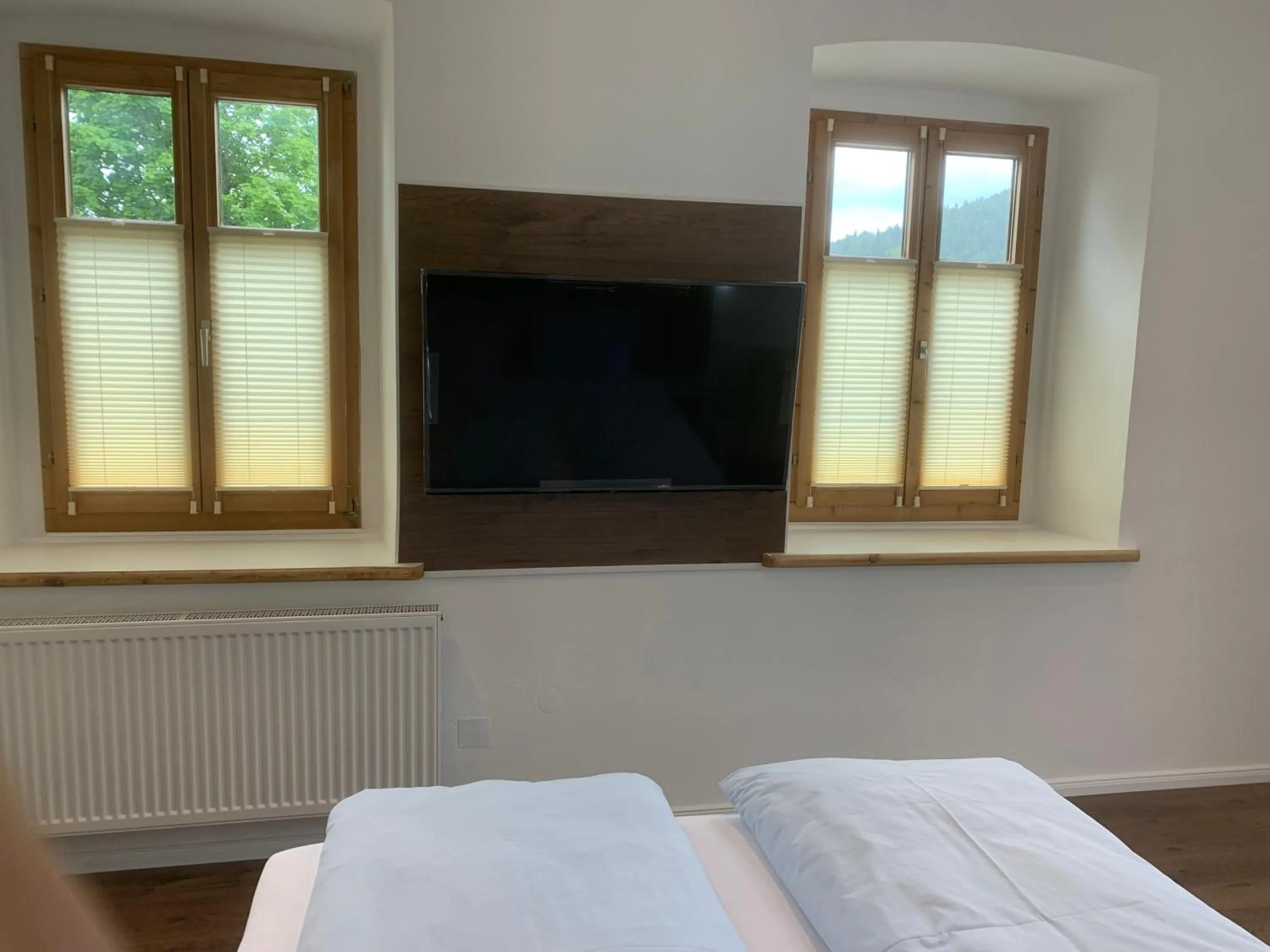 TV and multimedia, Bed in Gasthof Löwen