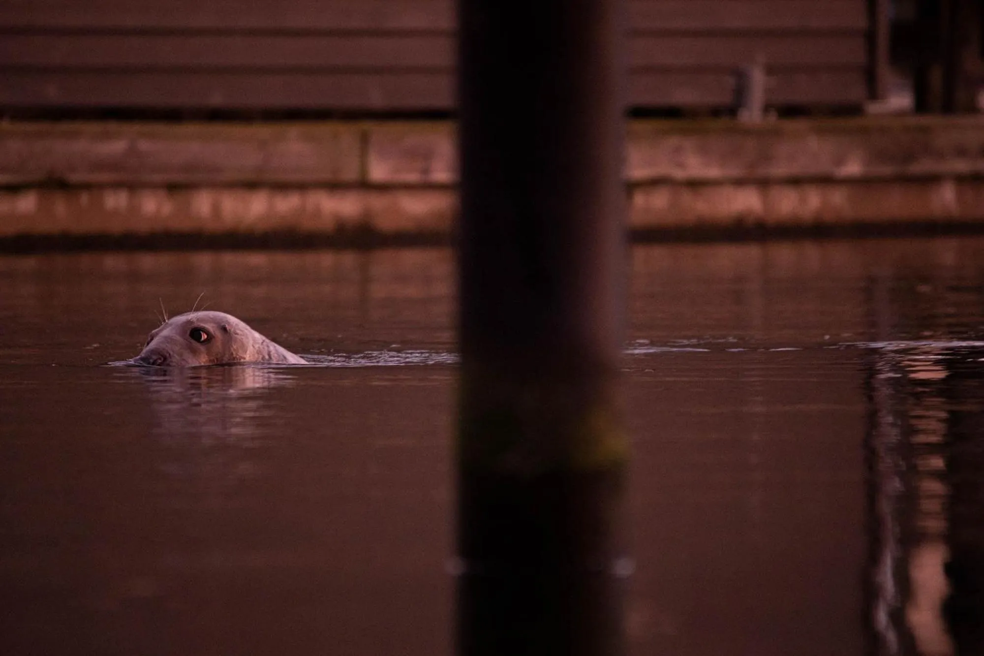 Winter in Im-Jaich Wasserferienwelt