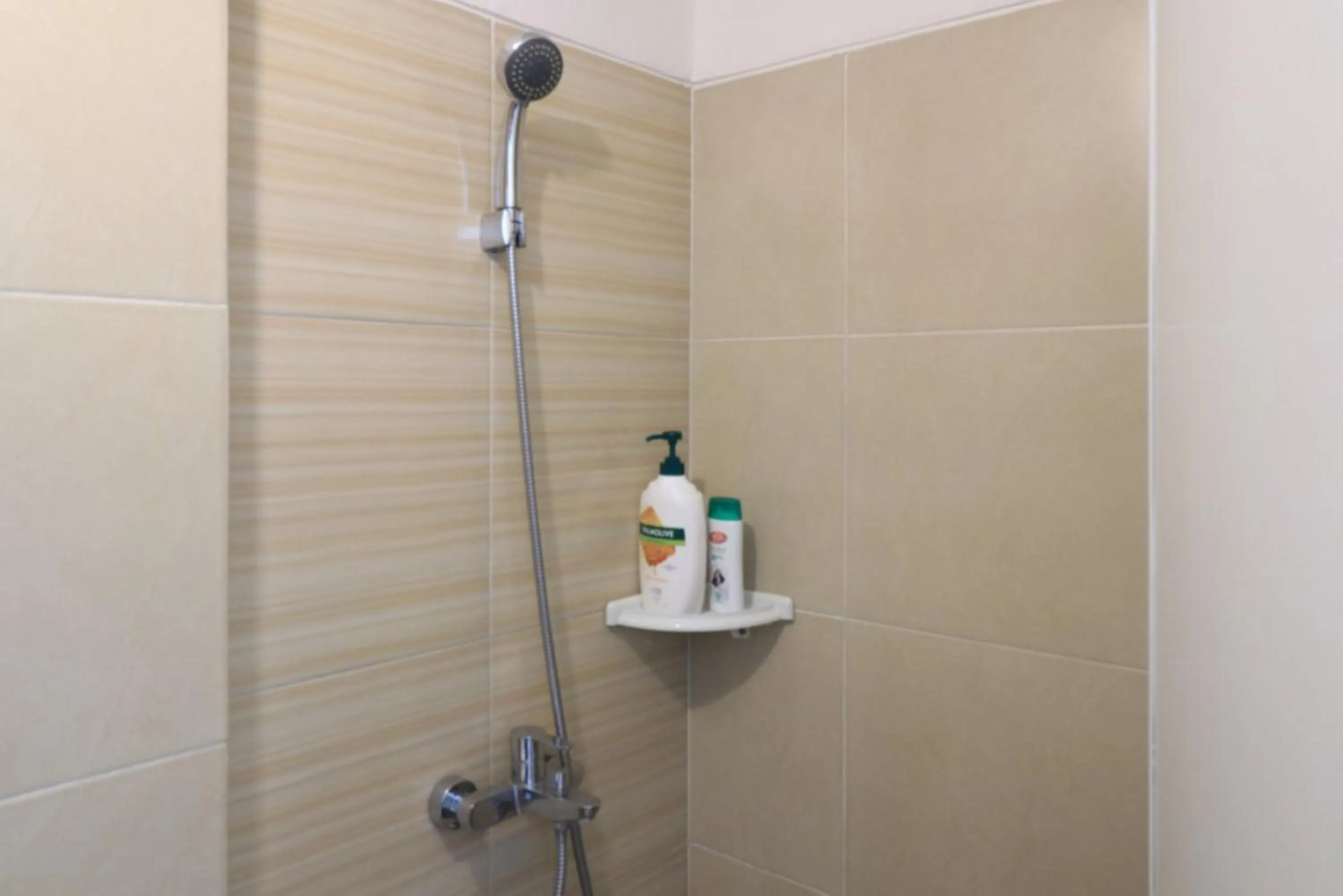 Shower in Paradise Mansion Apartment by Guardian Pro