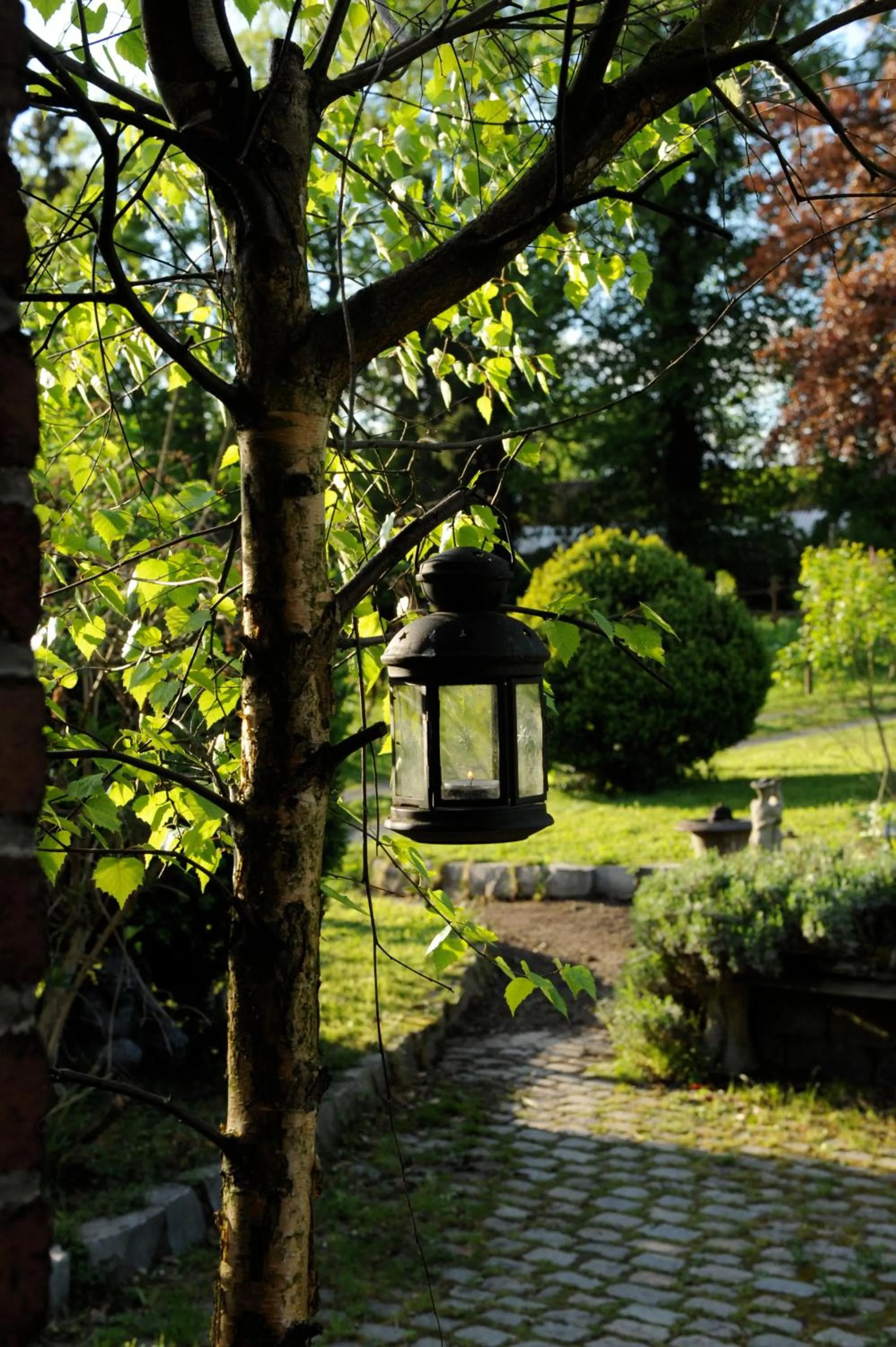 B&B Le Manoir d'Ange