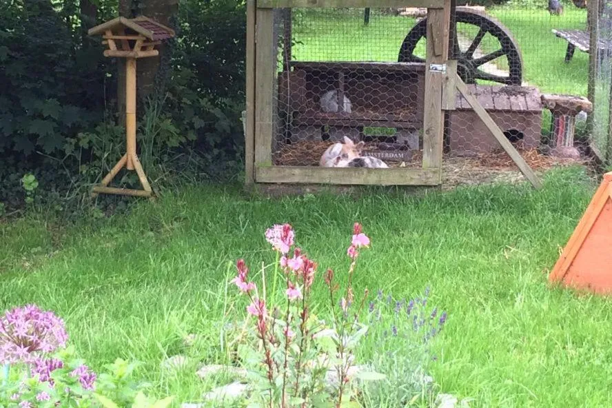 Property building in B&B Le Manoir d'Ange