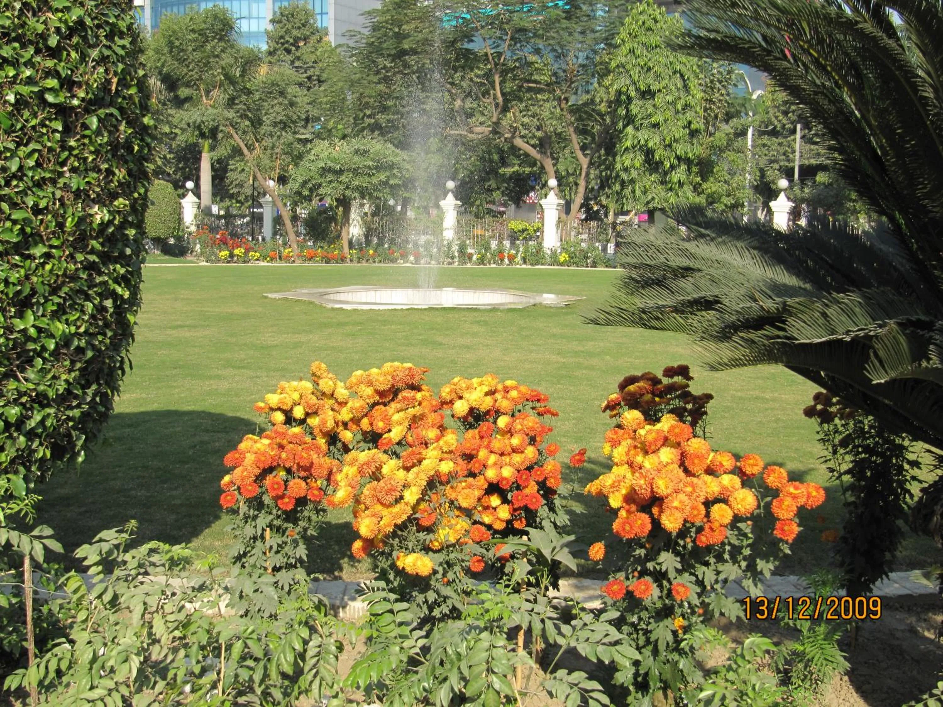 Natural landscape in Ritz Plaza