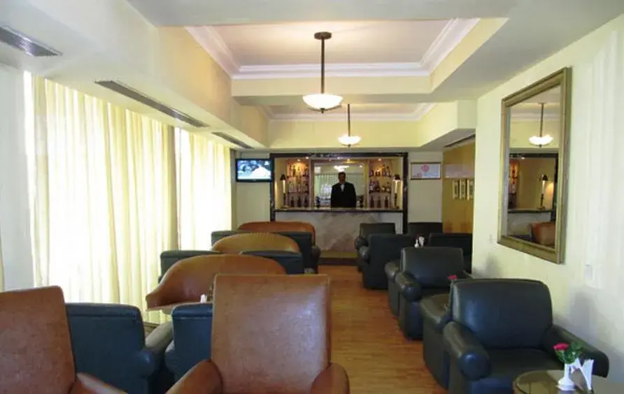 Lounge or bar in Ritz Plaza Lounge or bar in Ritz Plaza