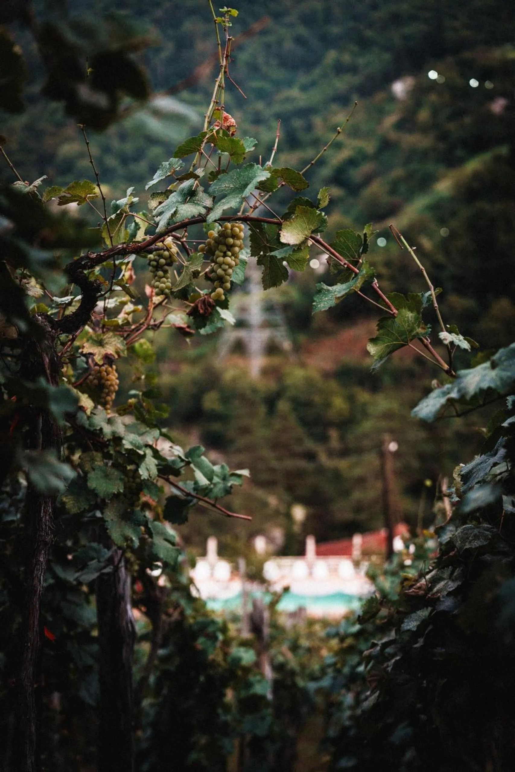 Mountain view in Hotel Chateau Iveri