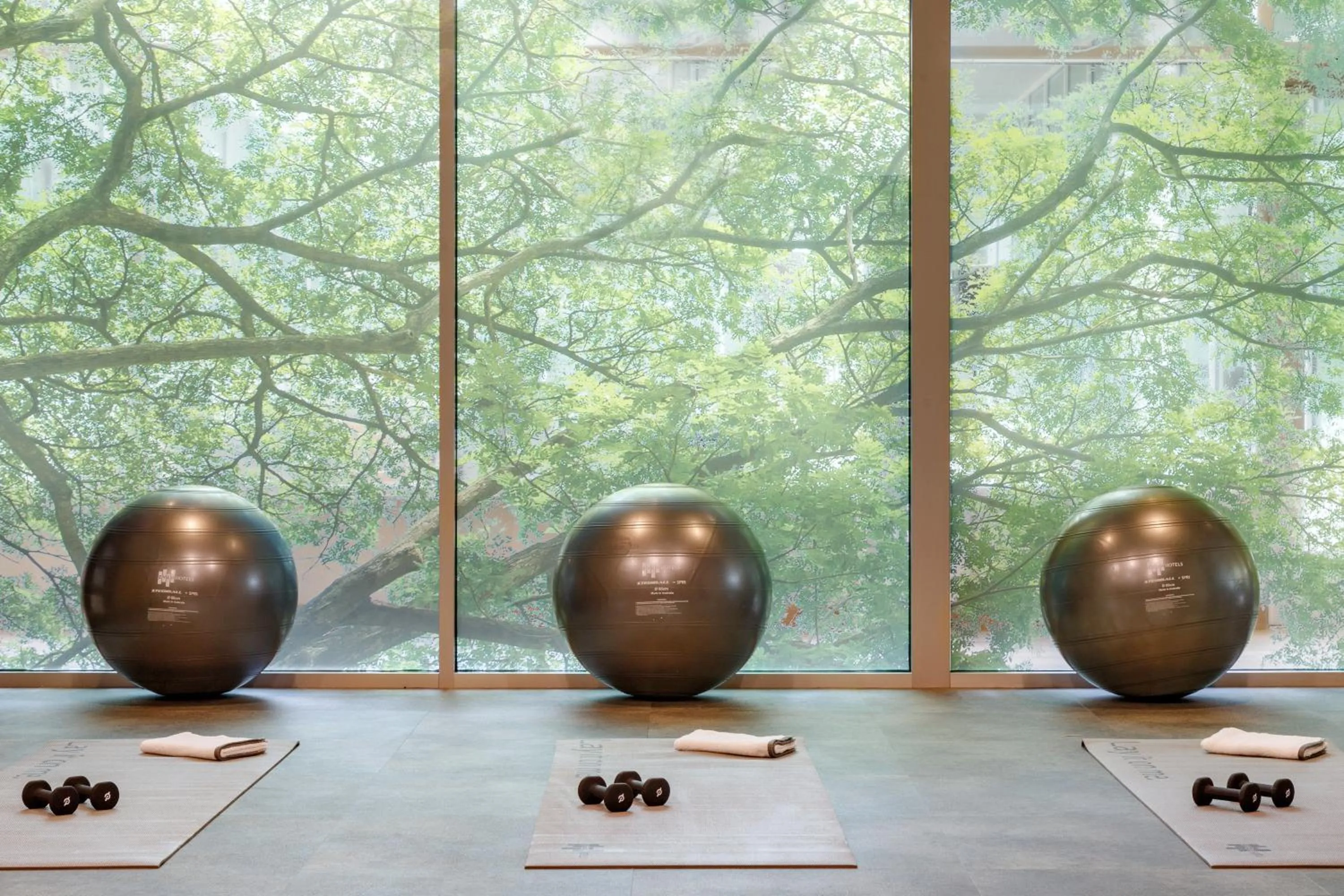 Fitness centre/facilities in Staybridge Suites Rochester - Mayo Clinic Area by IHG