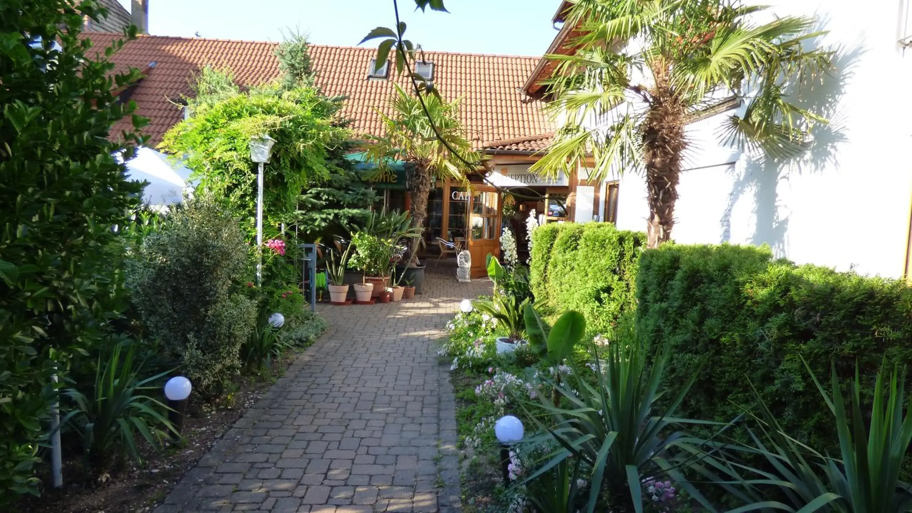 Facade/entrance in Hotel Blume Facade/entrance in Hotel Blume