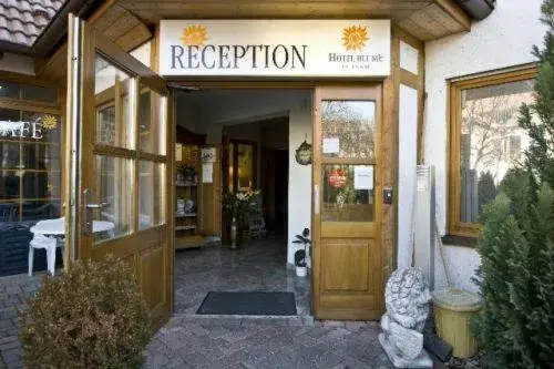 Facade/entrance in Hotel Blume Facade/entrance in Hotel Blume