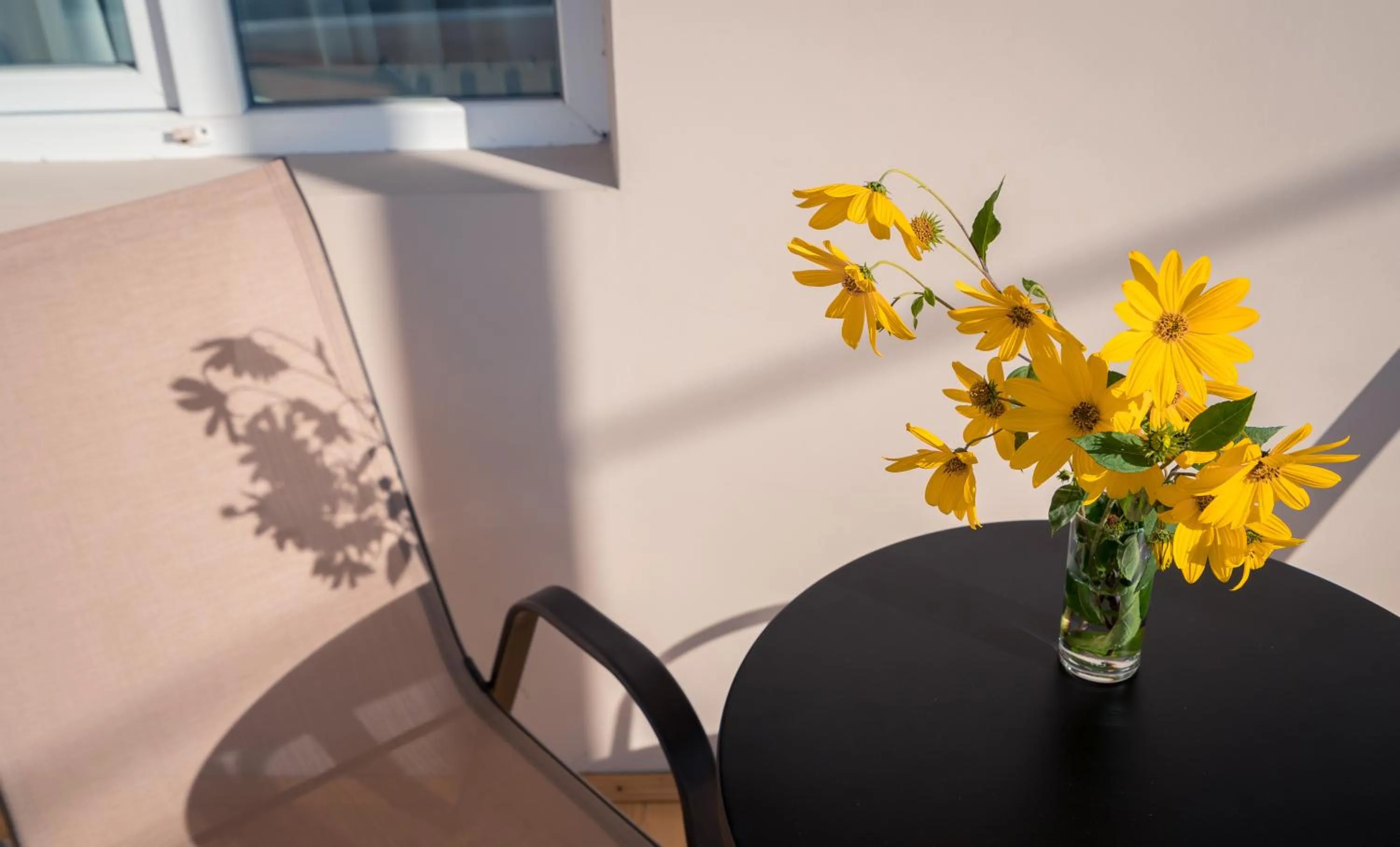 Hotel History • სასტუმრო ისტორია