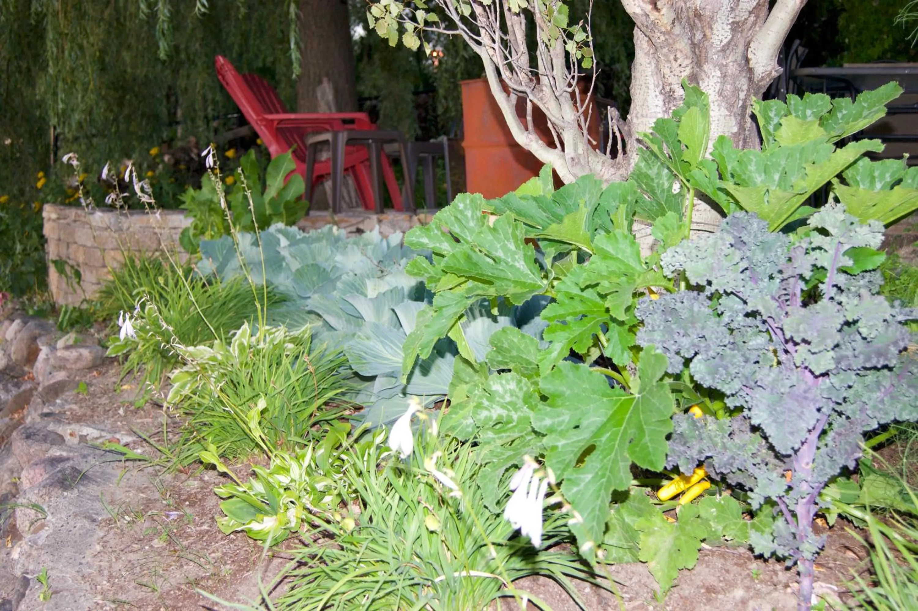 Garden view in La Belle aux Berges
