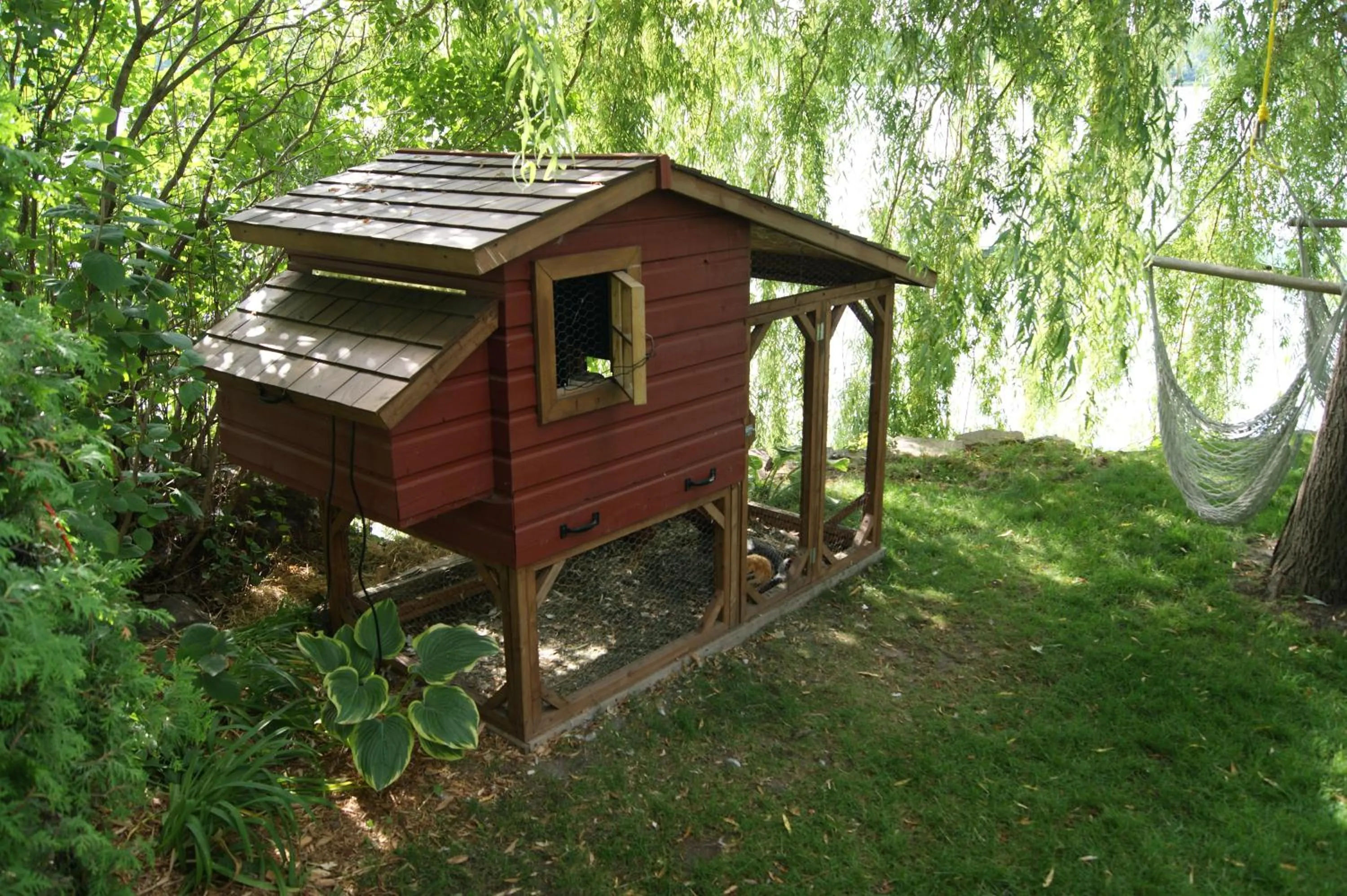 Animals in La Belle aux Berges