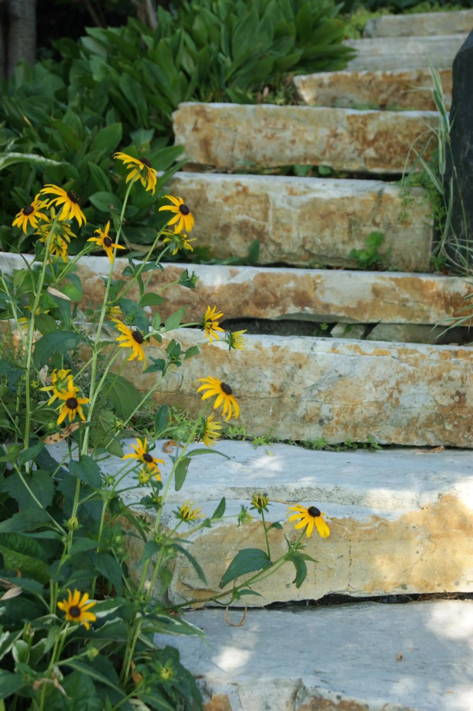 Garden in La Belle aux Berges
