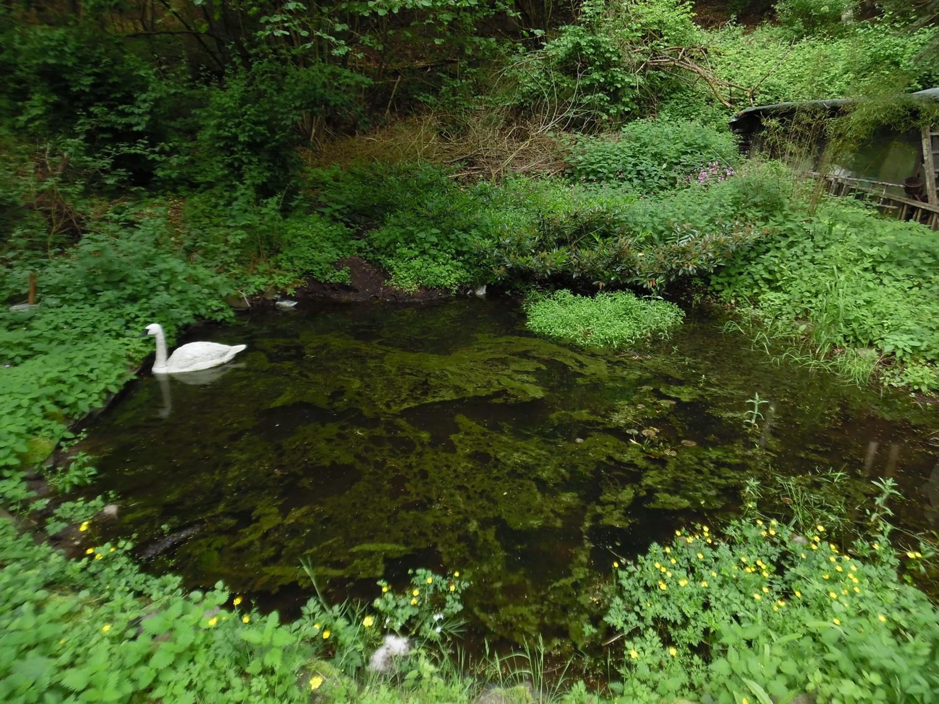 Natural landscape in Wellness und Romantik Hotel Helmboldt