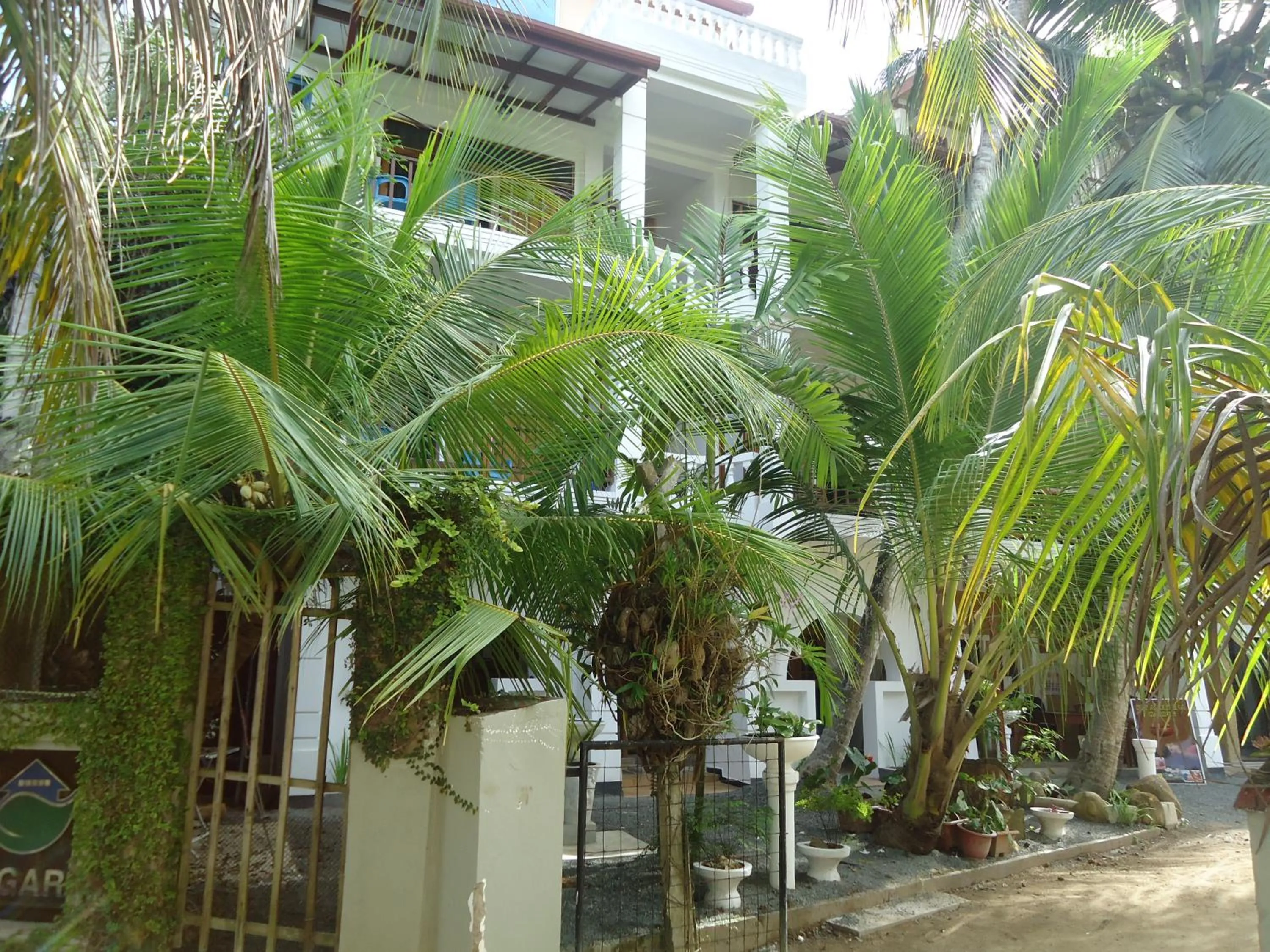 Bird's eye view in Sky Garden Mini Hotel