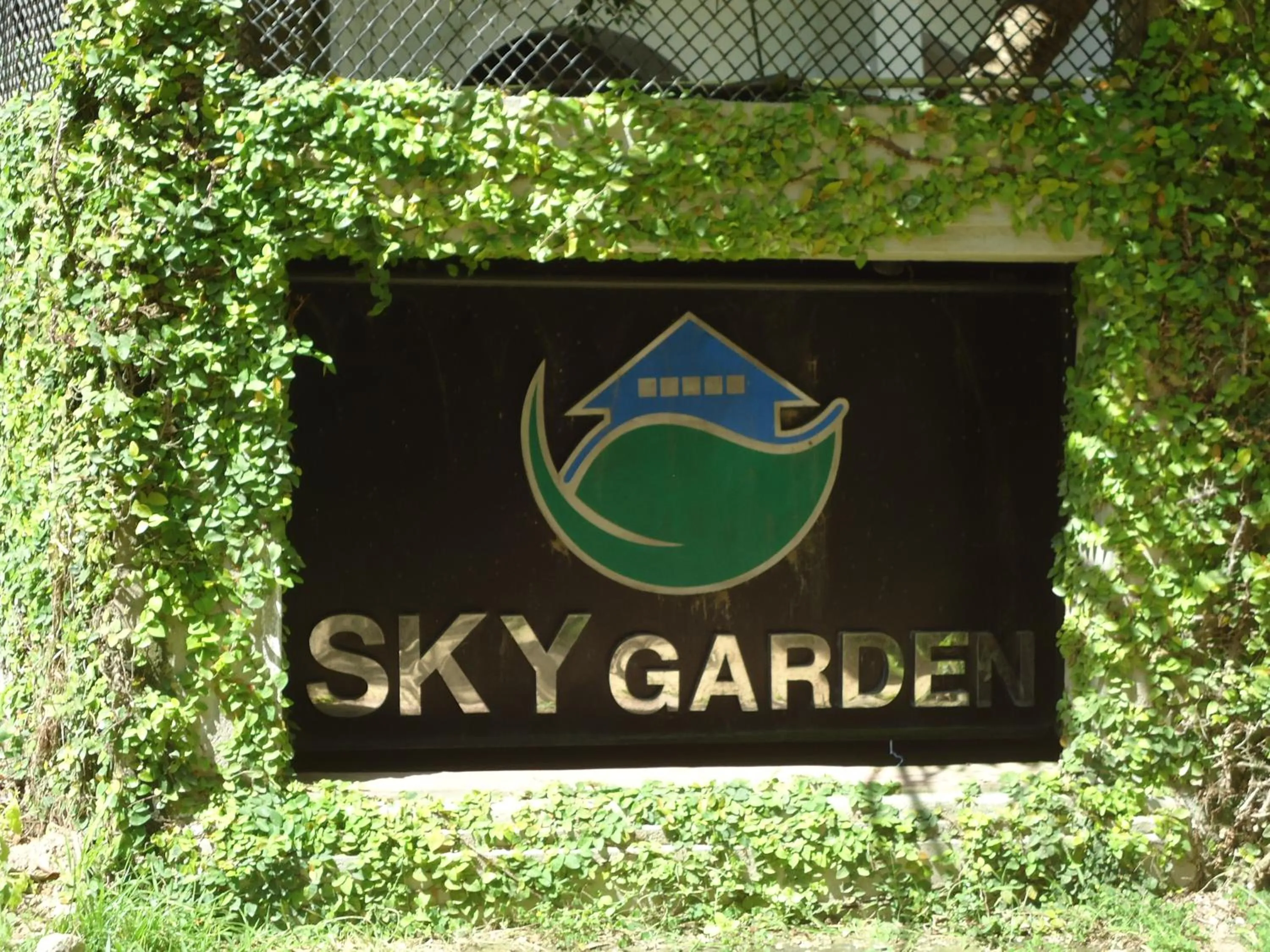 Activities in Sky Garden Mini Hotel