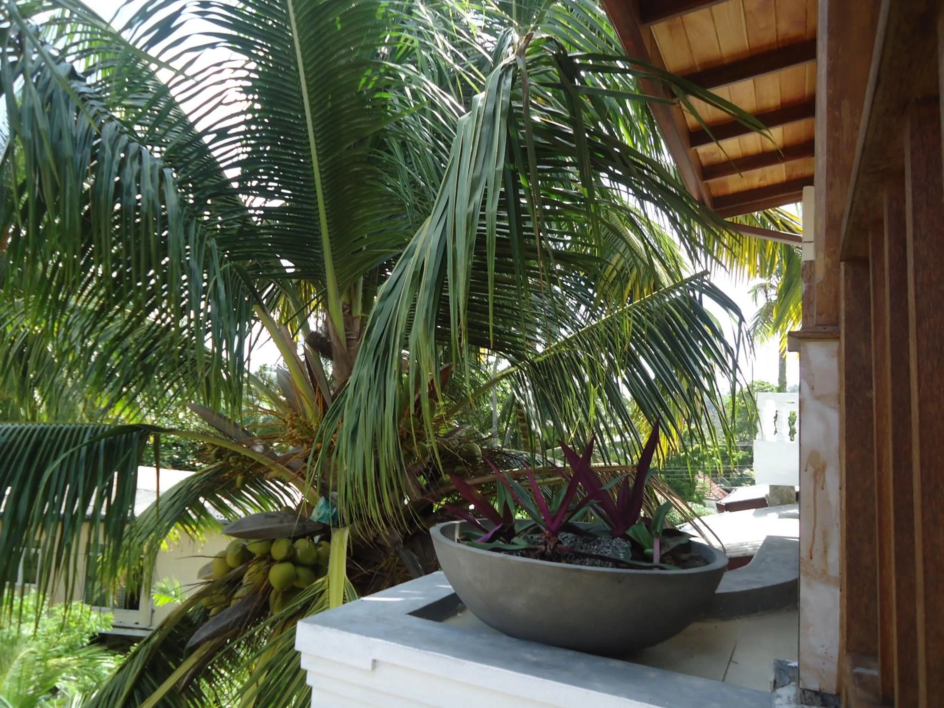 Decorative detail in Sky Garden Mini Hotel