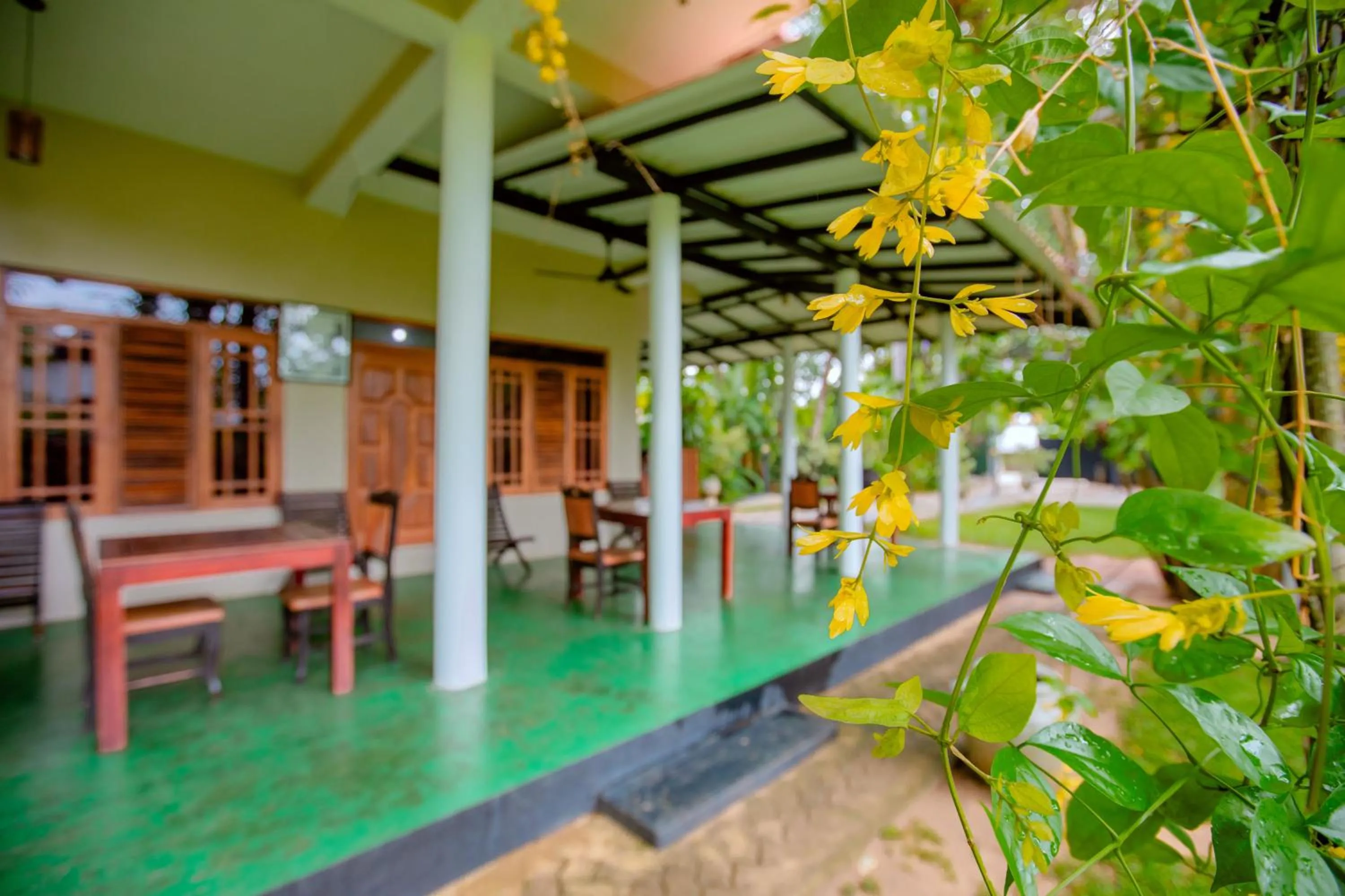 Garden in Yala River Face Inn